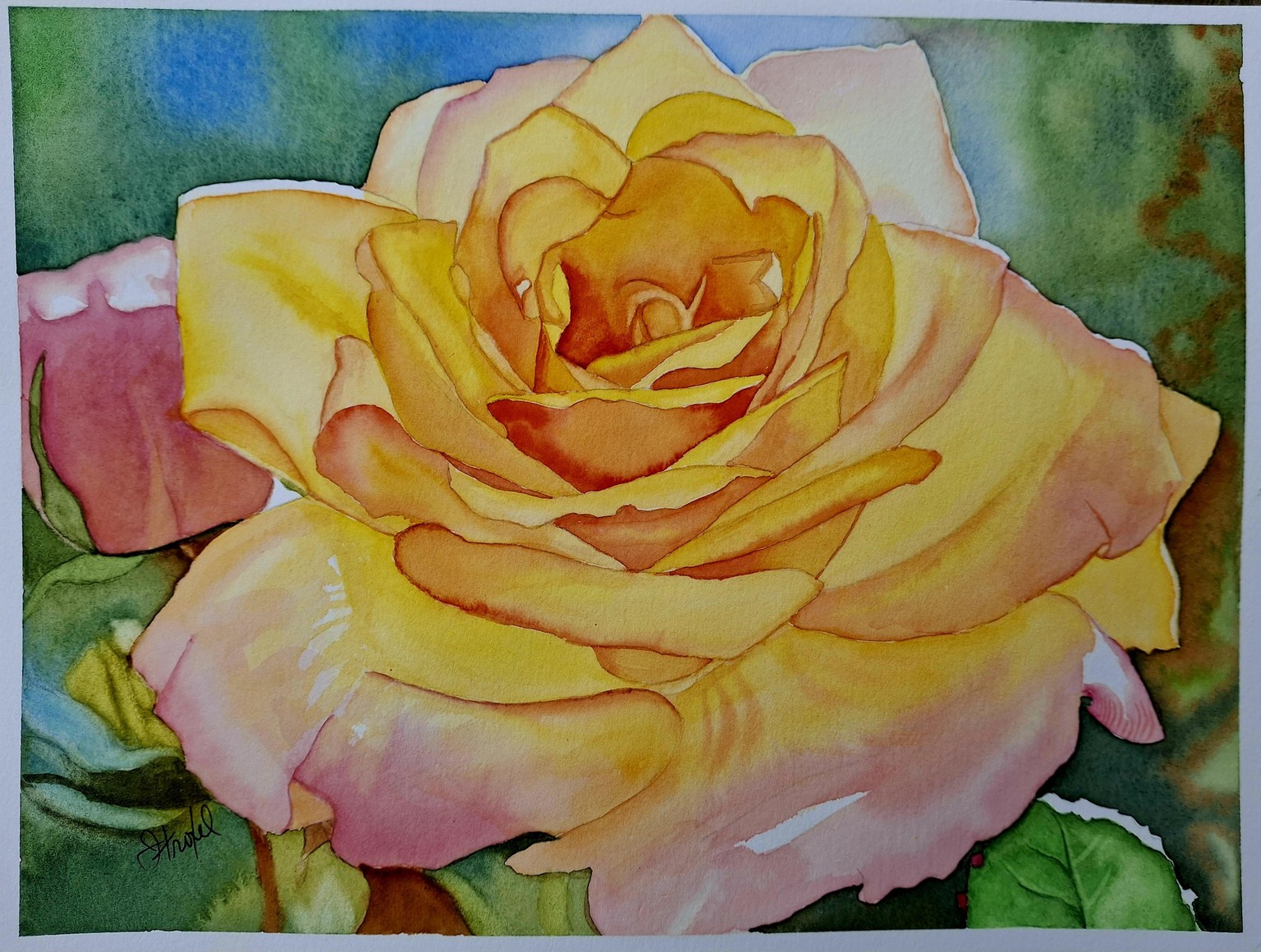 Beautiful rose - image 1 - student project