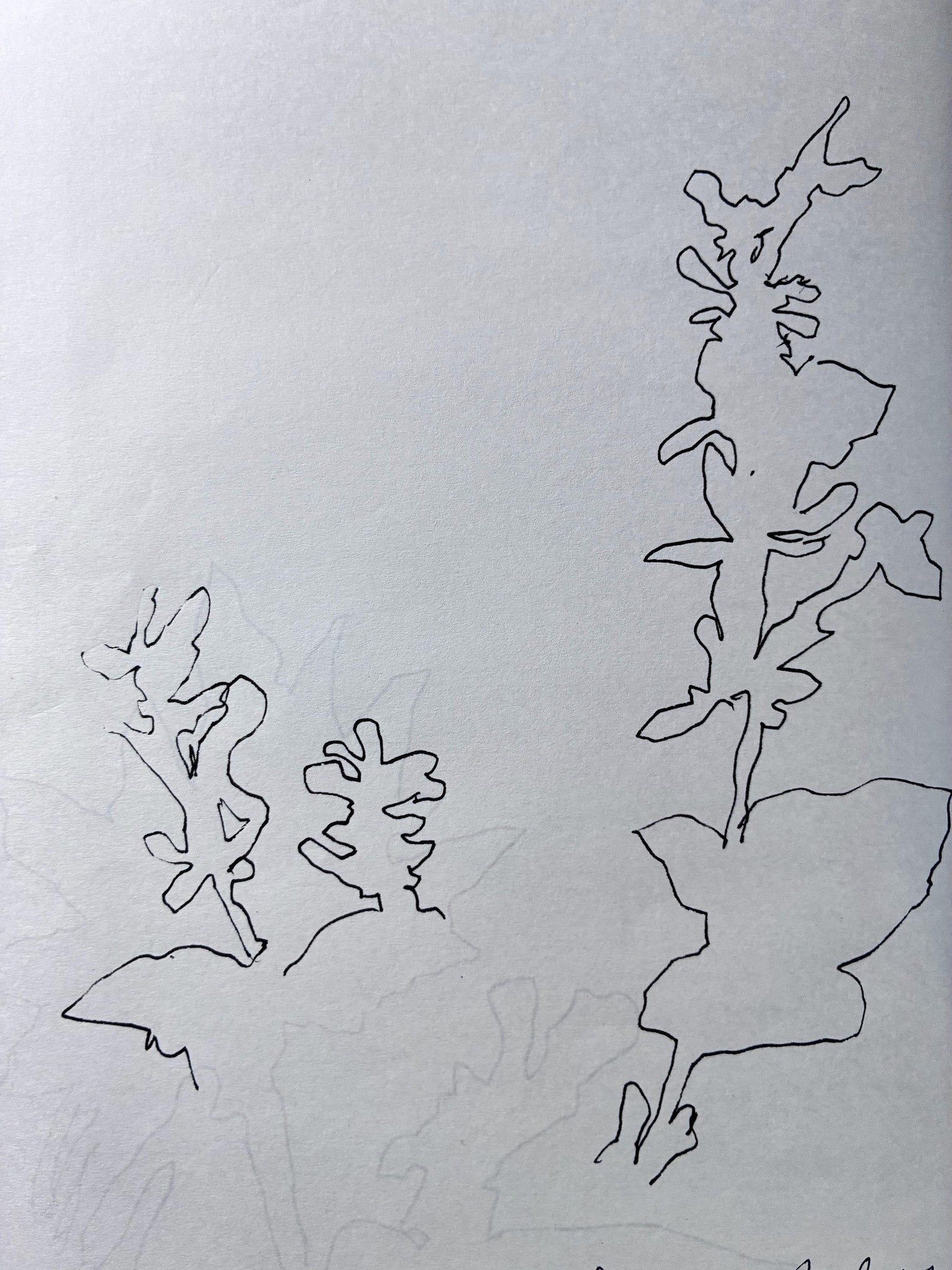 Warming up exercises for urban sketching - image 2 - student project