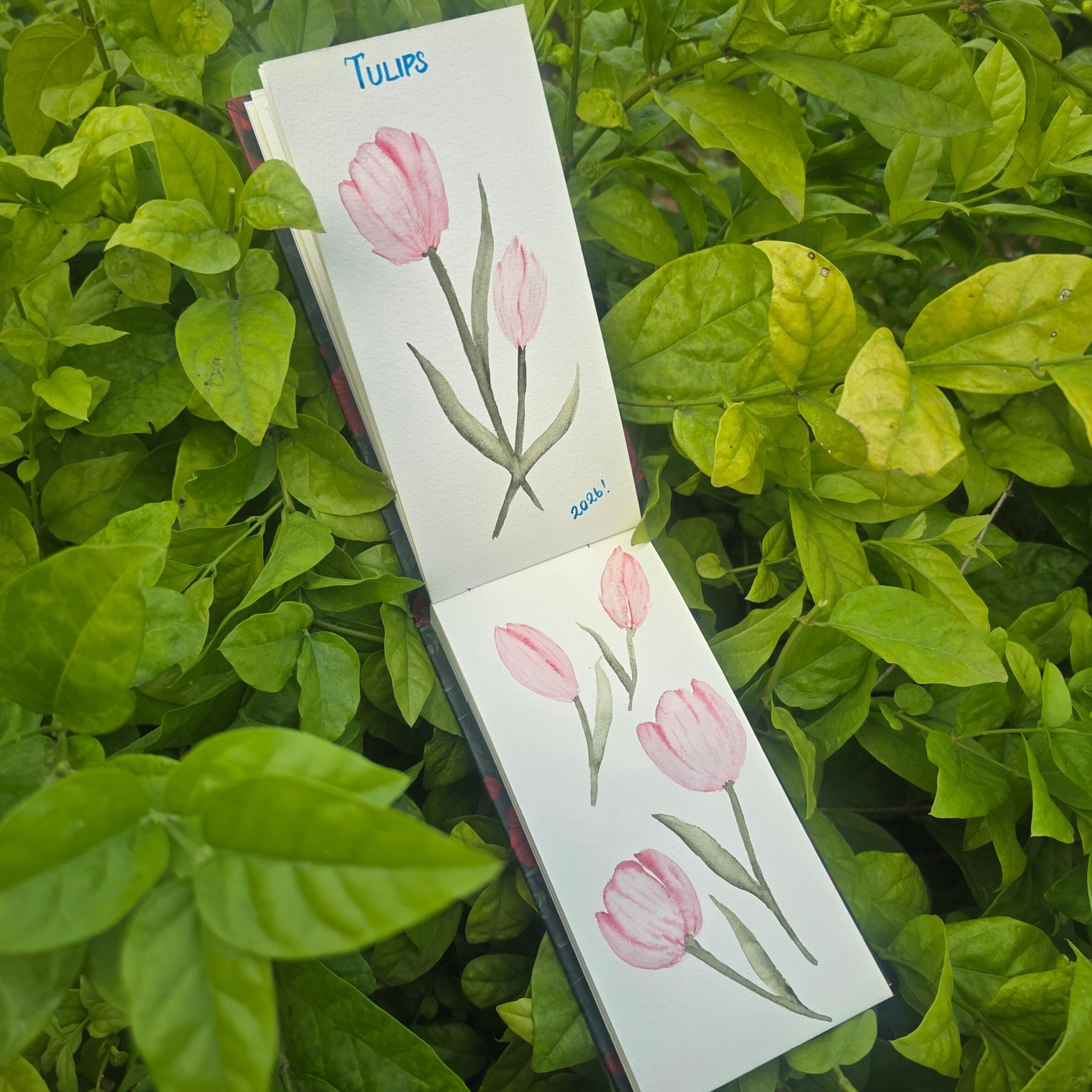 Tulips🌷 - image 1 - student project