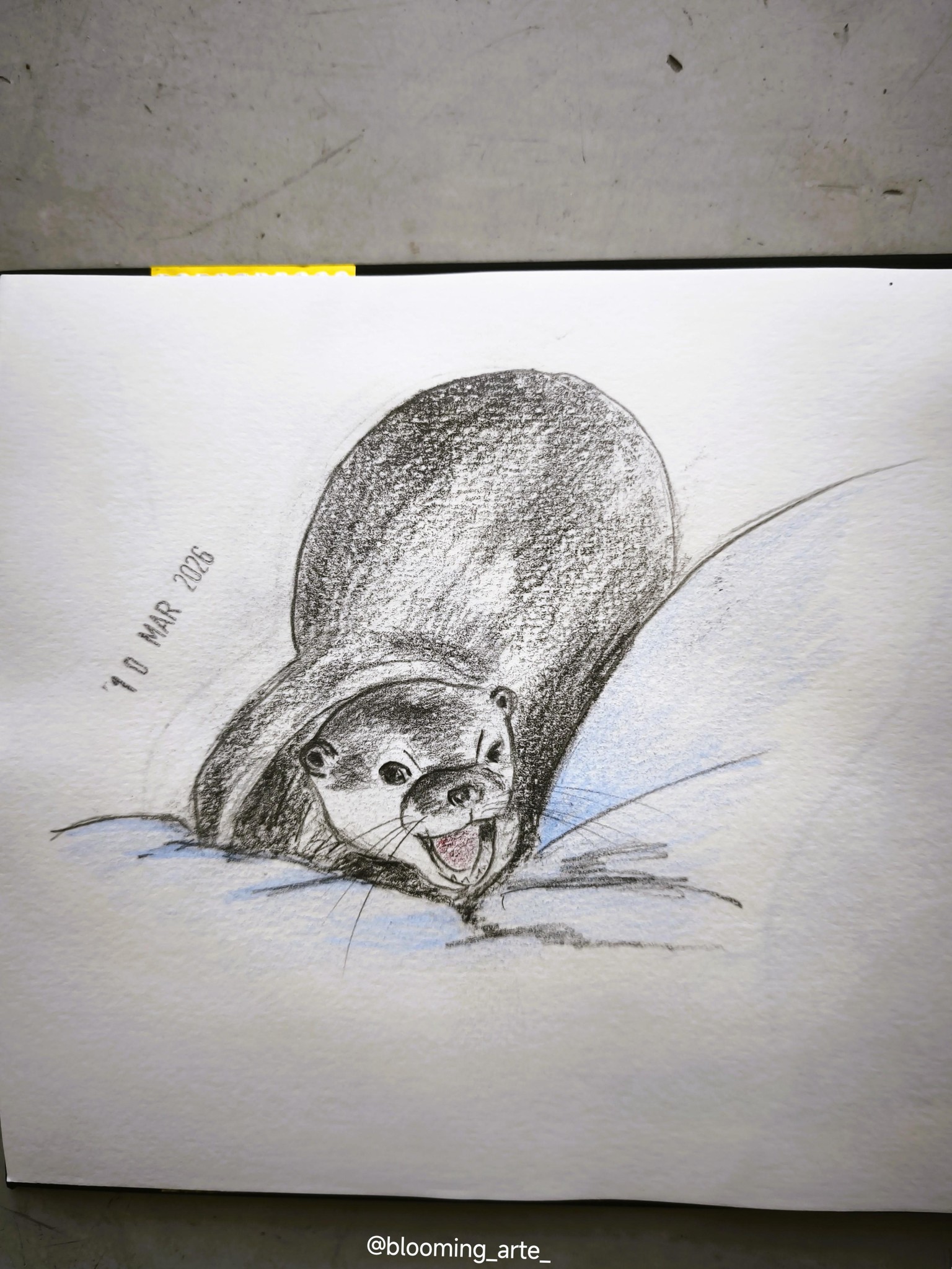 Pencil Sketching: quick and loose animals - image 11 - student project
