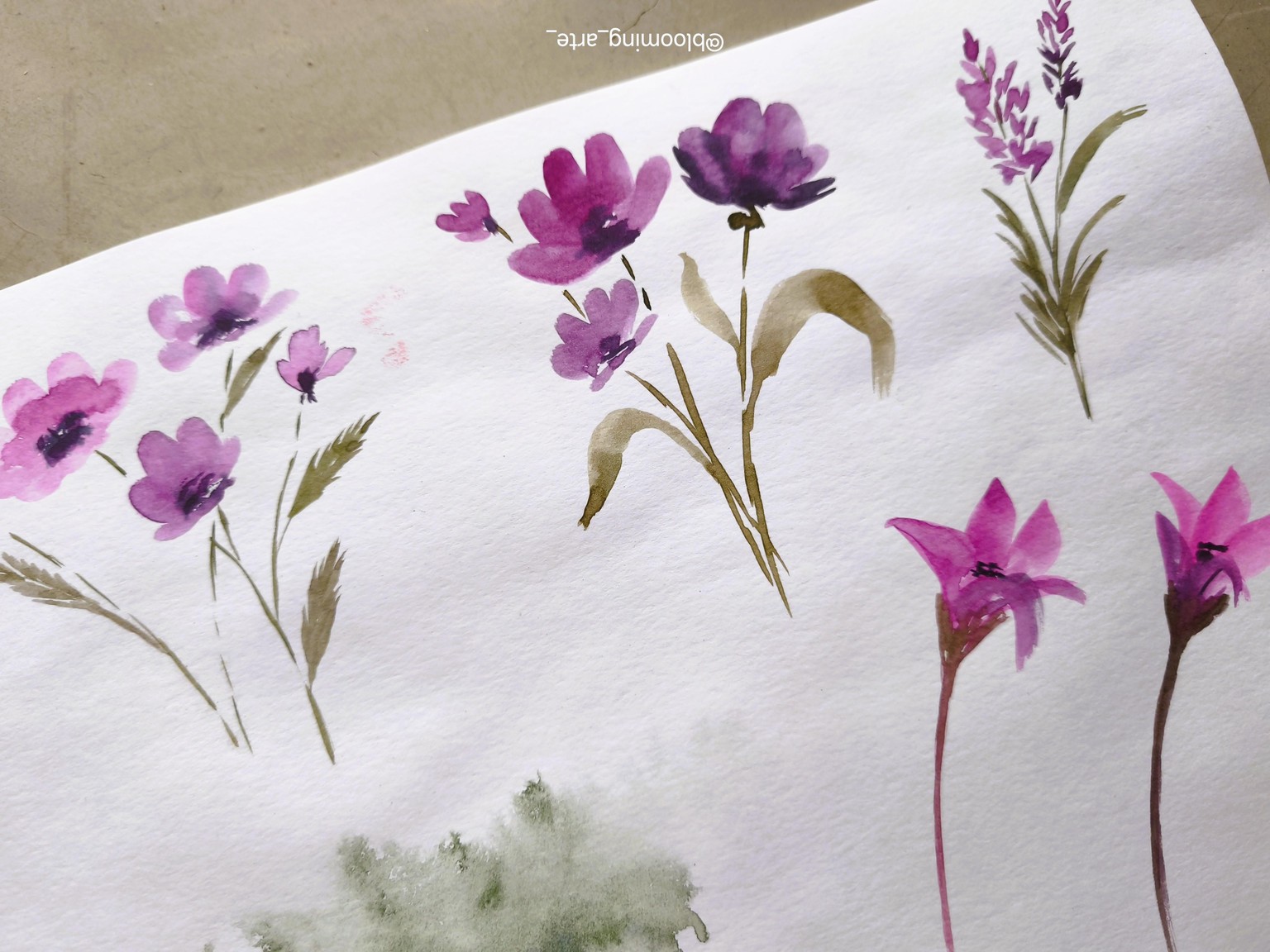 Loosen Up in Your Sketchbook - image 5 - student project