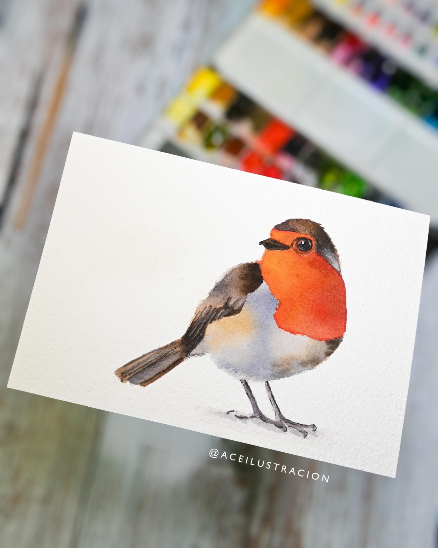 Red Robin - image 3 - student project