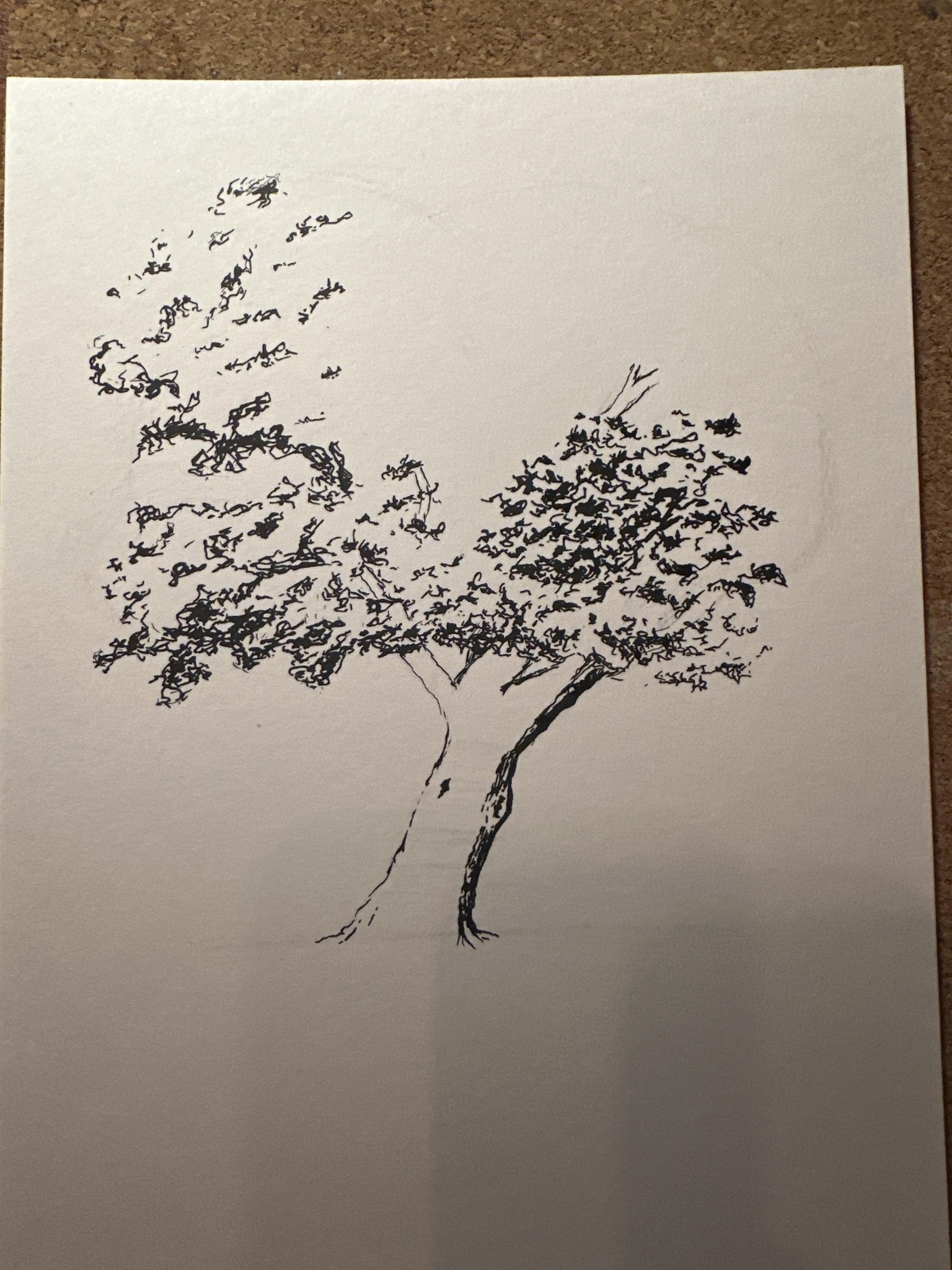 Sherrel's Tree - image 3 - student project
