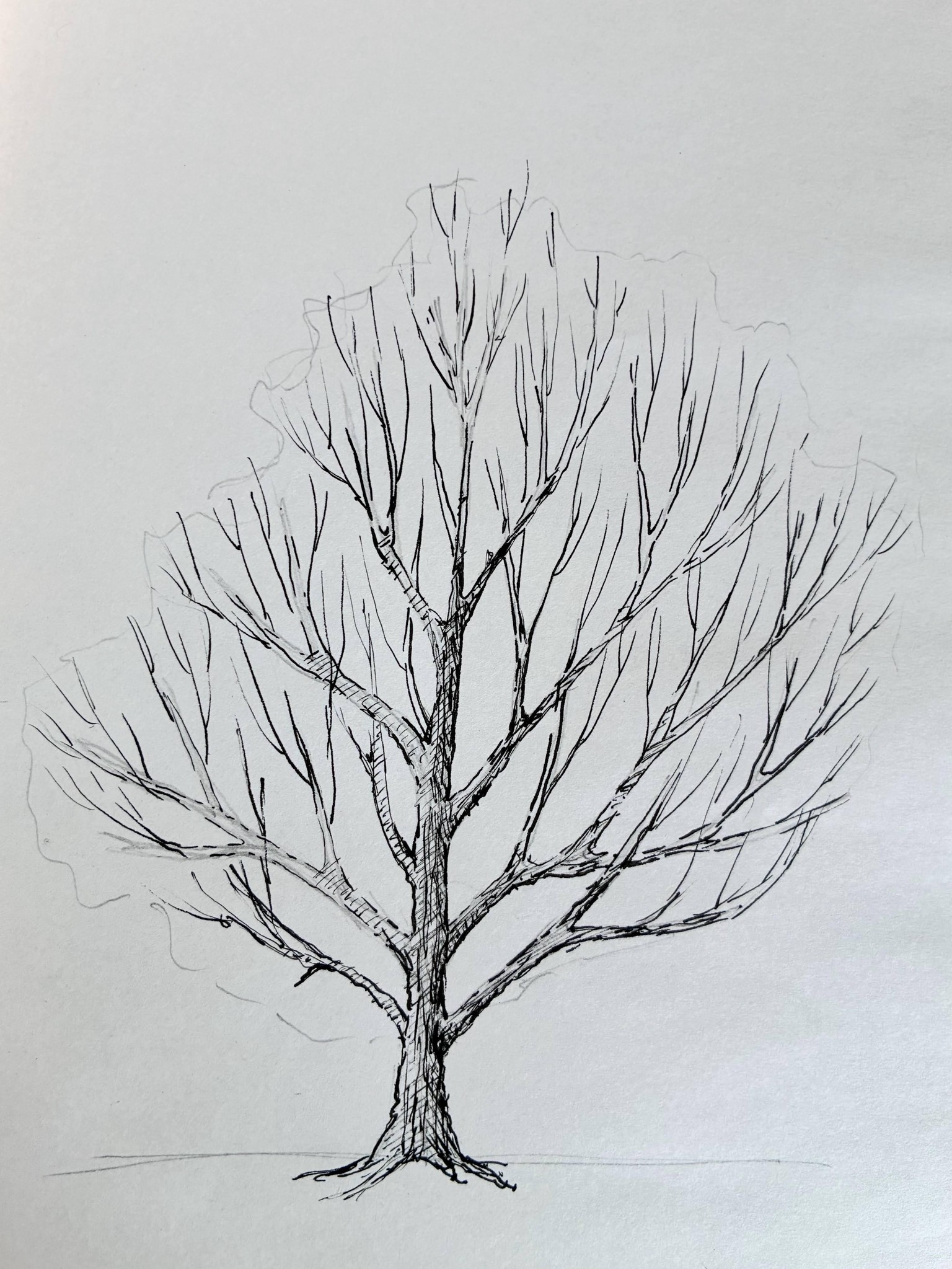 Realistic Trees - image 2 - student project