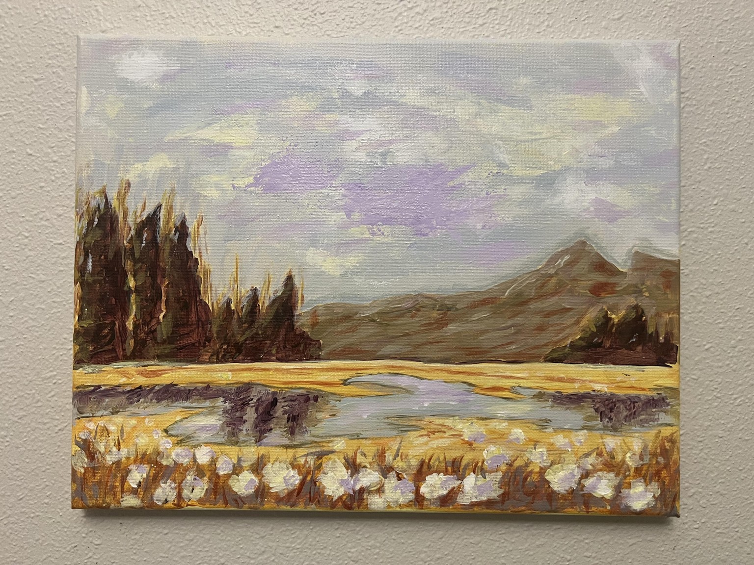 Simple Landscape on Canvas - image 2 - student project