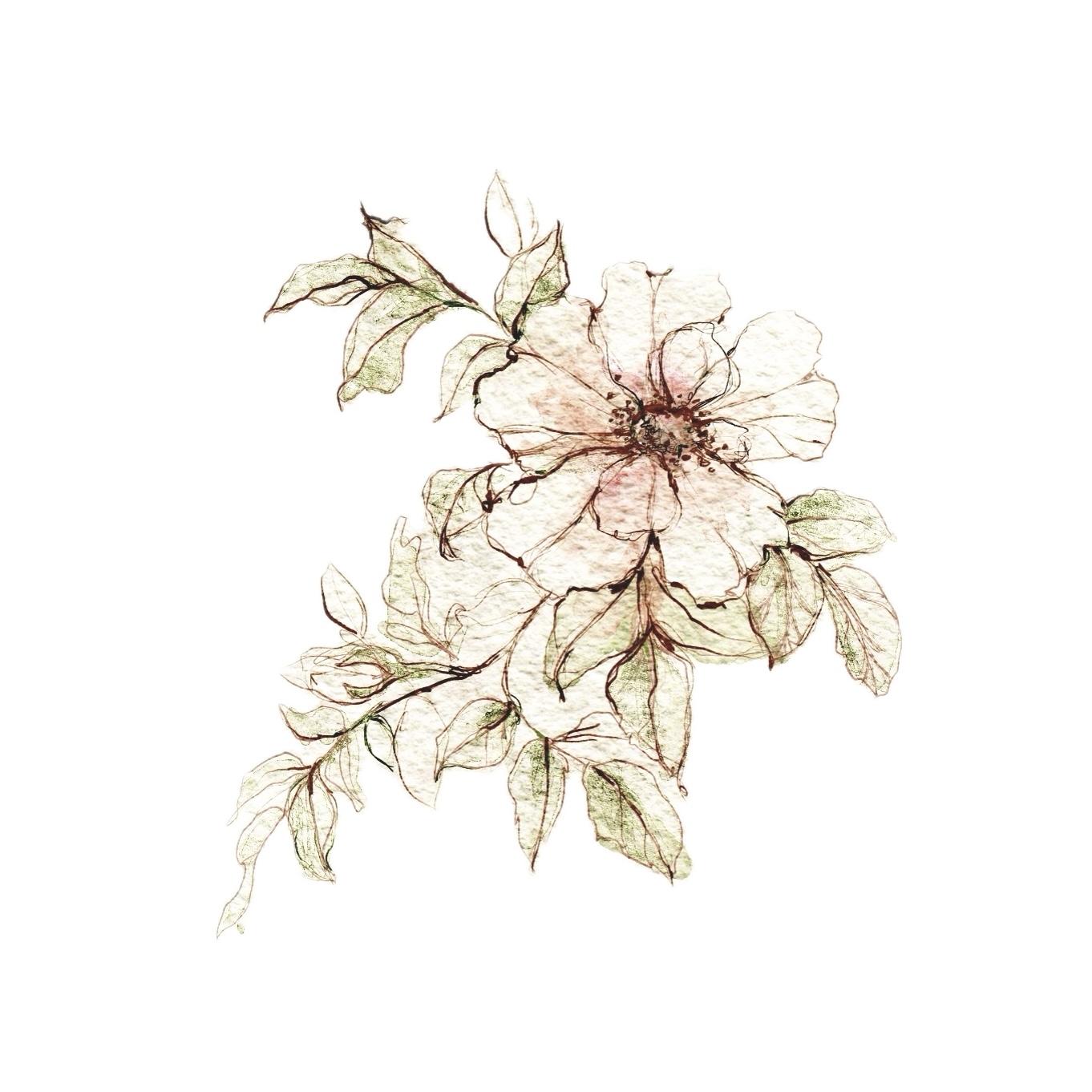 Mandala Design - image 1 - student project