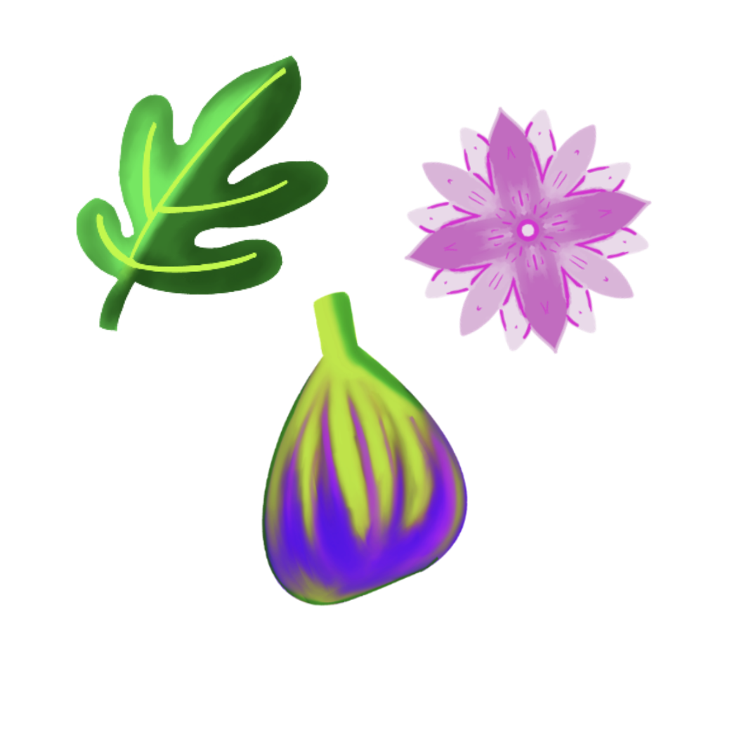 Fig branch - image 2 - student project