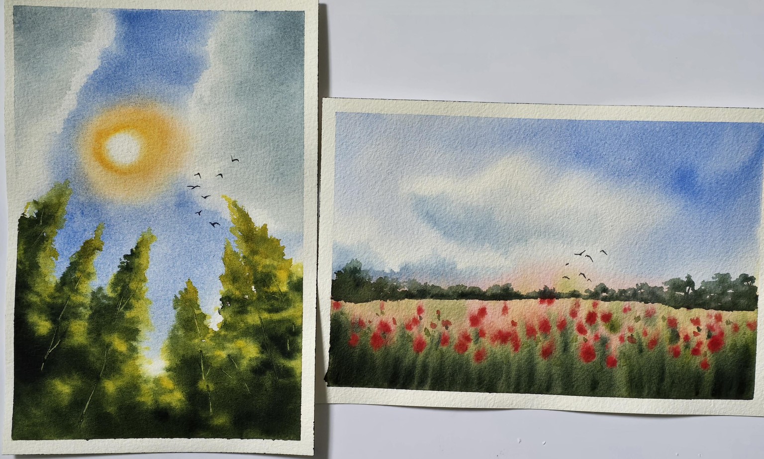 Spring landscapes - image 3 - student project