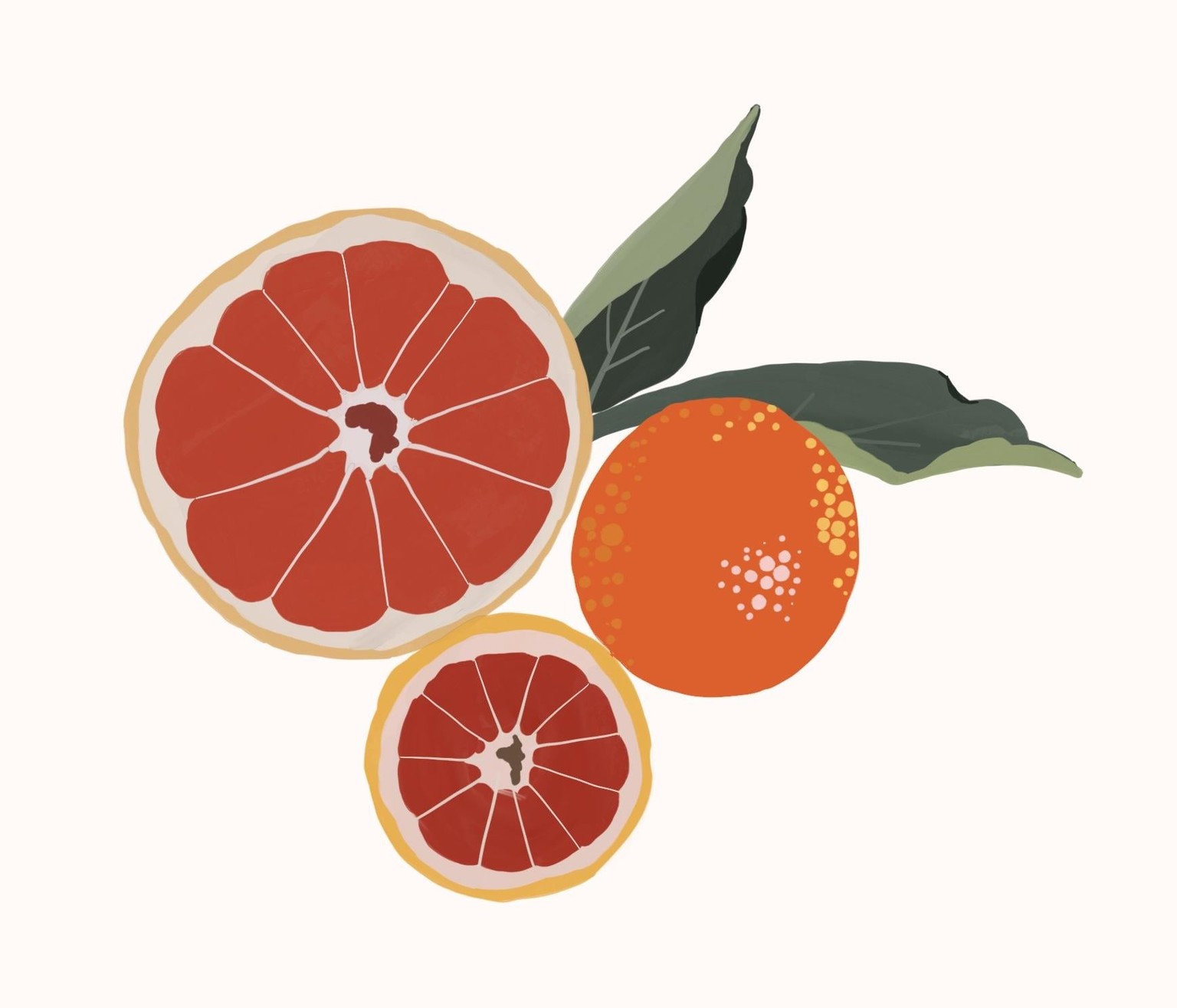 Flat gouache fruit and foliage - image 2 - student project