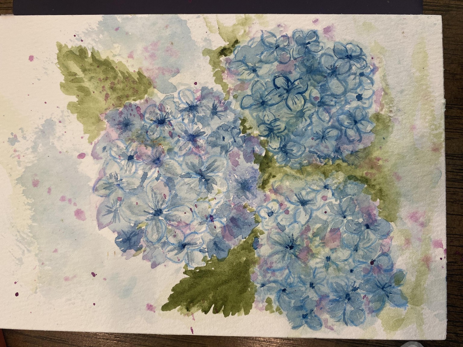 Hydrangea Trio - image 1 - student project