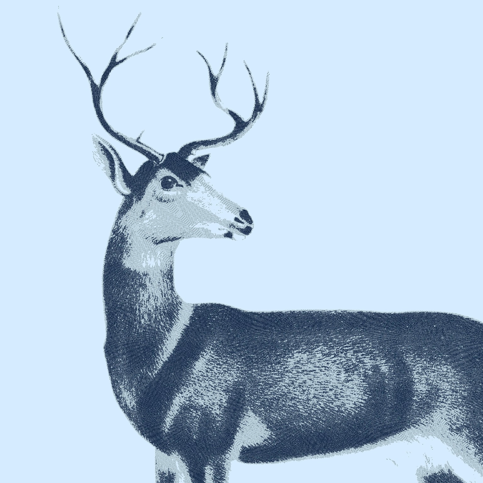 deer - image 1 - student project