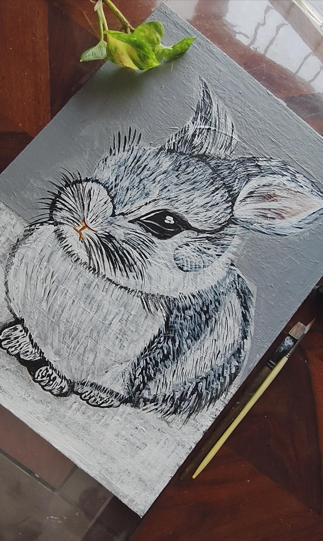 Peter rabbit🐇 - image 8 - student project