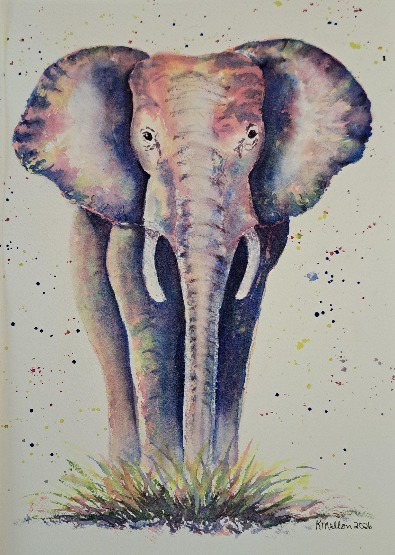 Elephant - image 1 - student project