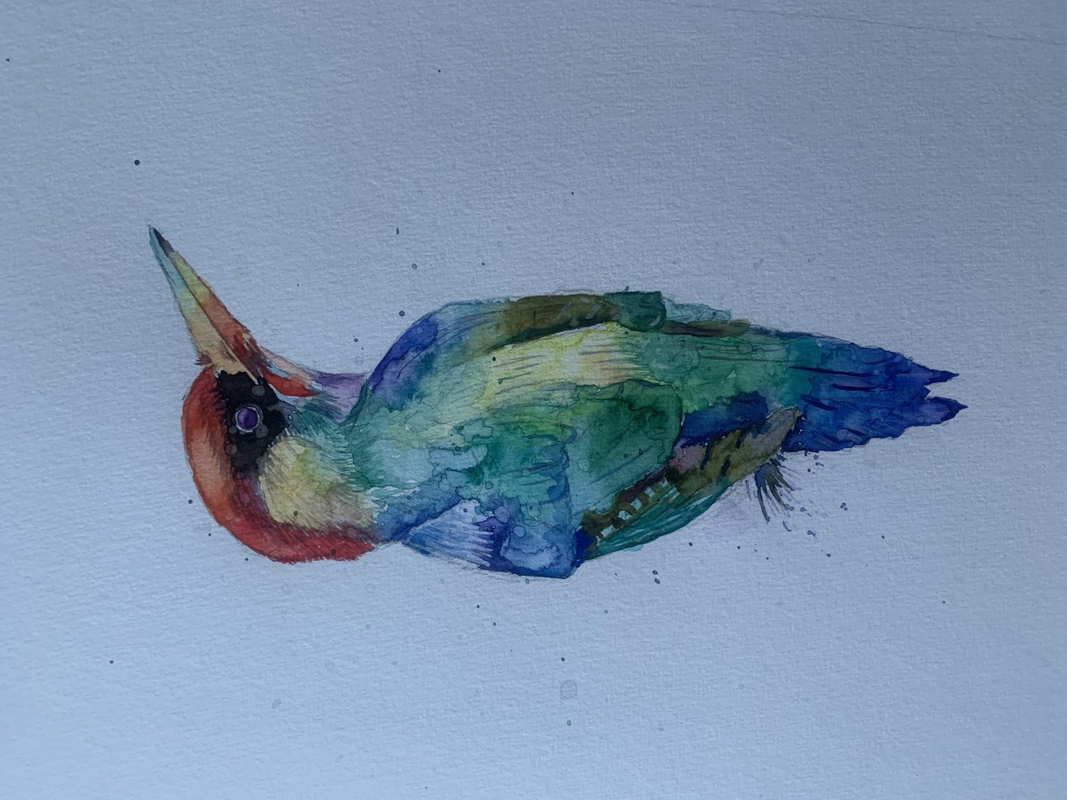 Watercolour bird - image 1 - student project