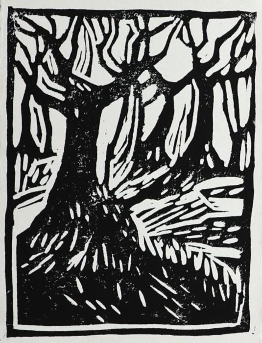 Olive Grove - image 1 - student project