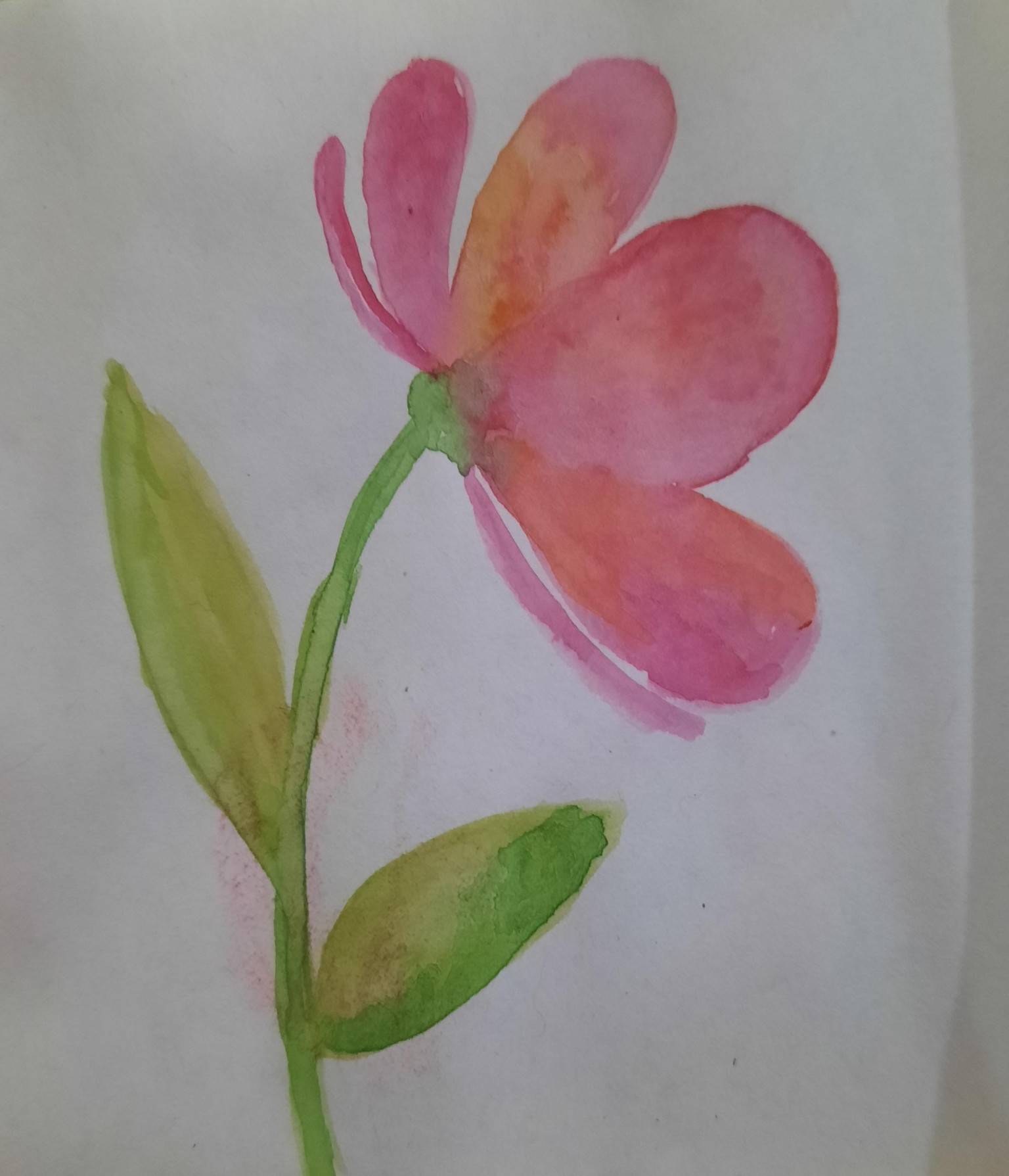 Basics of Watercolor - image 2 - student project
