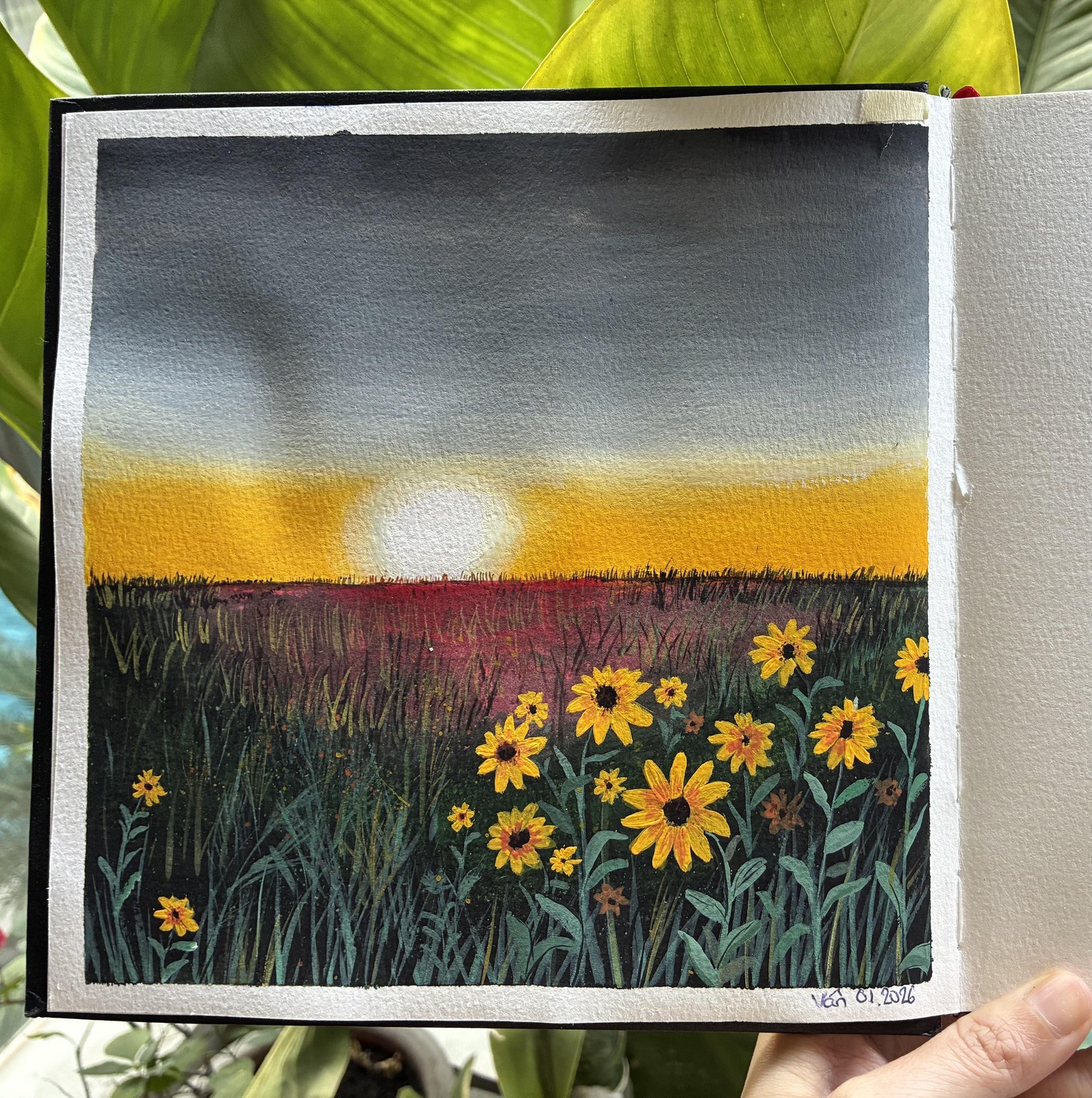 Flower fields - image 1 - student project