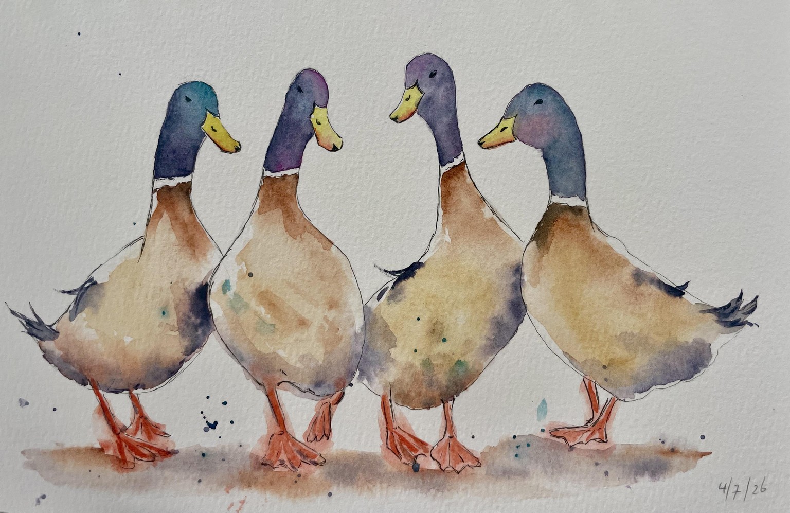 Ducks in a row - image 1 - student project