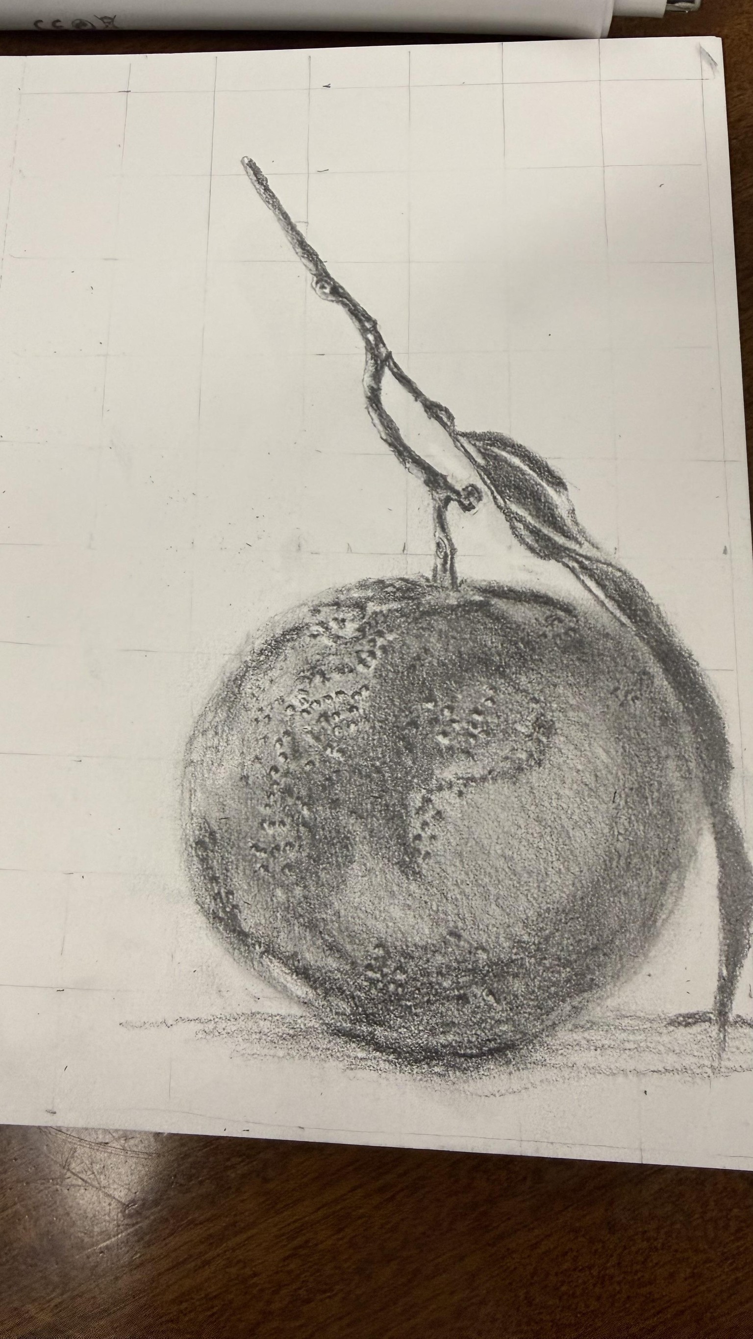 Realistic orange with pencil - image 1 - student project