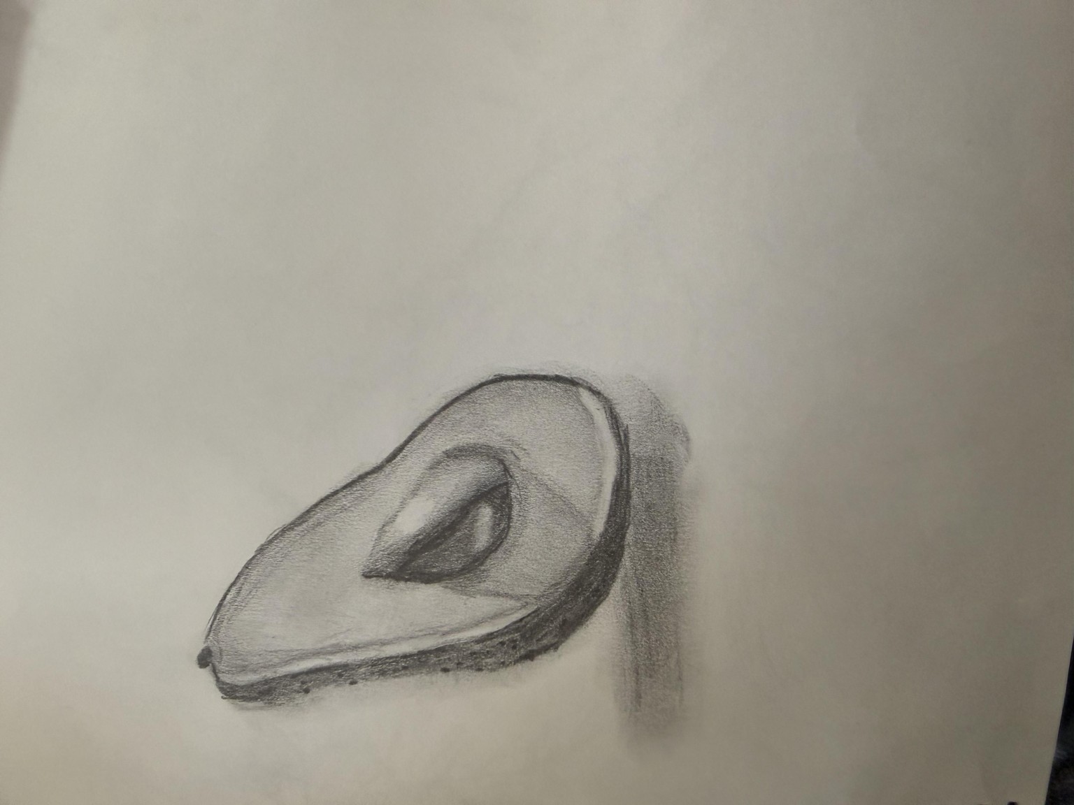Avacados - image 2 - student project