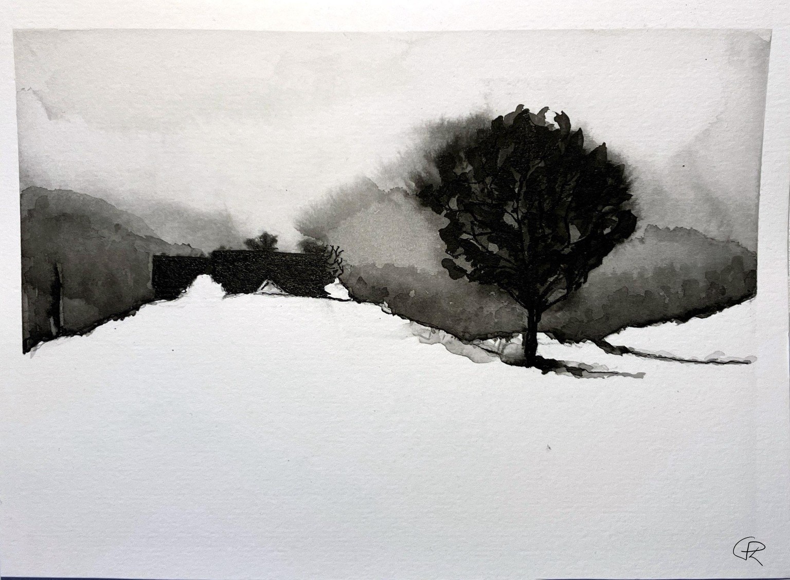 Inky Landscapes: Letting Go… at a Snail’s Pace 🐌 - image 3 - student project