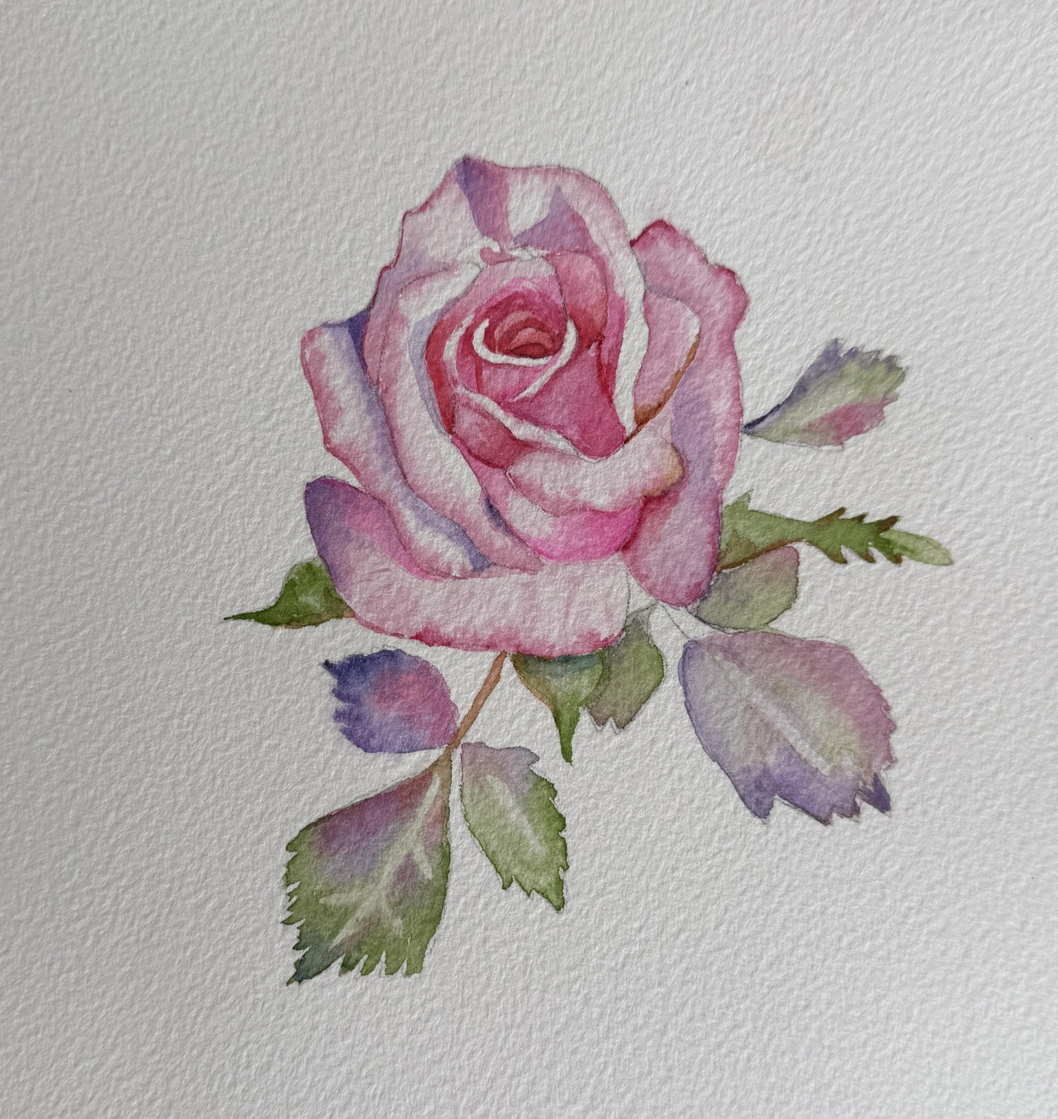 Pink Rose - image 2 - student project