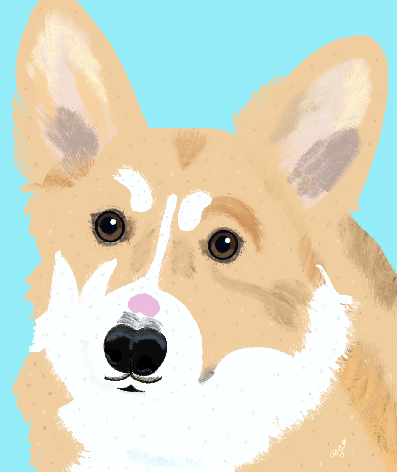 Taco & Rocky - image 2 - student project