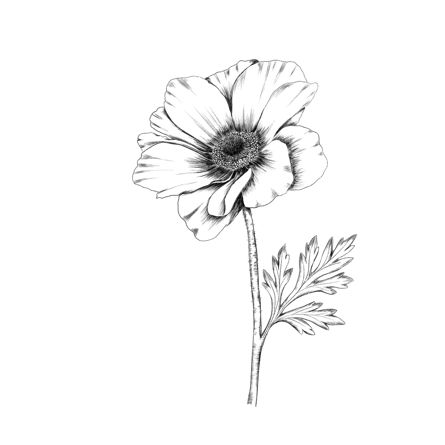 Proyect Class - image 1 - student project