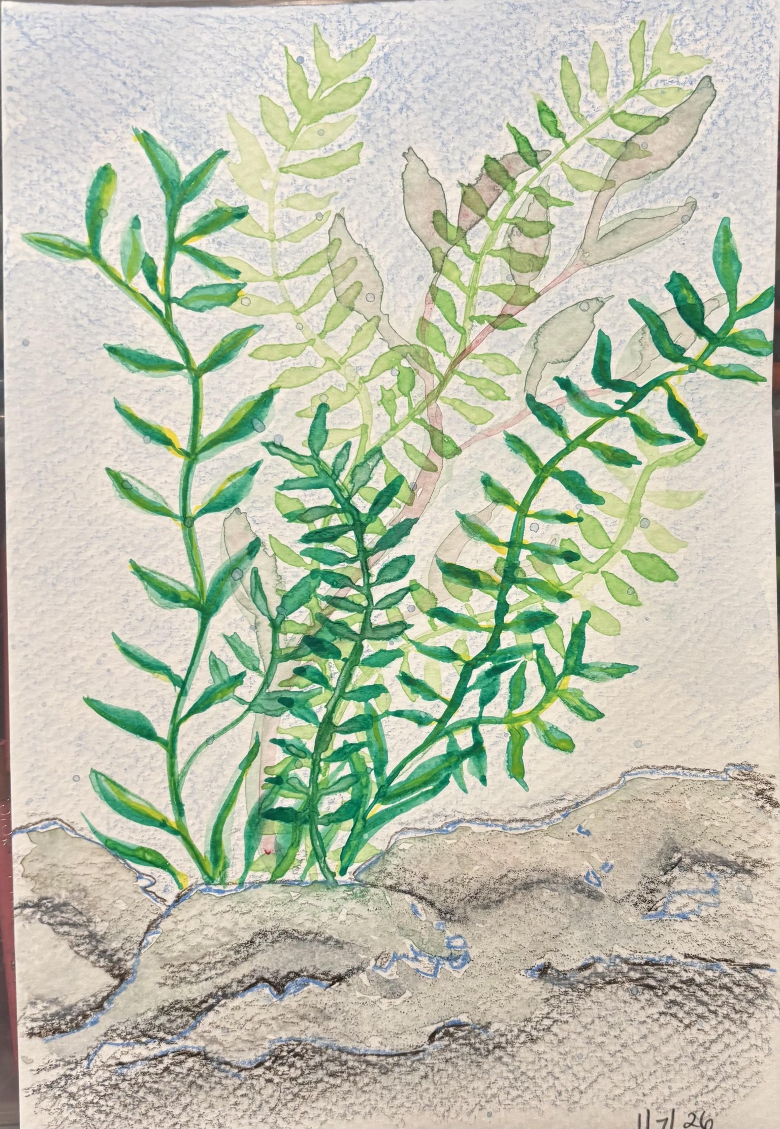 Leaves - image 2 - student project