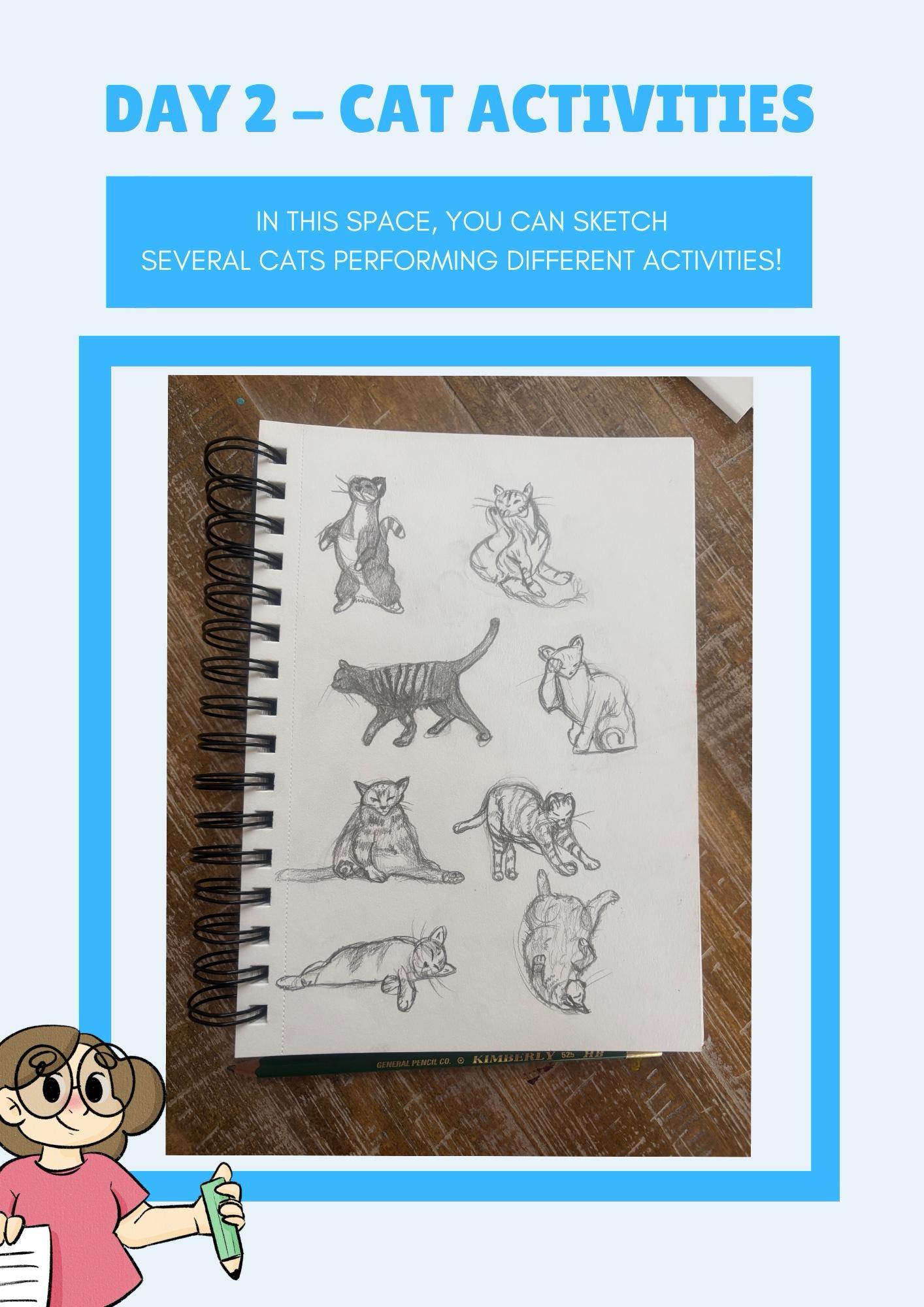 Sketching Cats - image 2 - student project