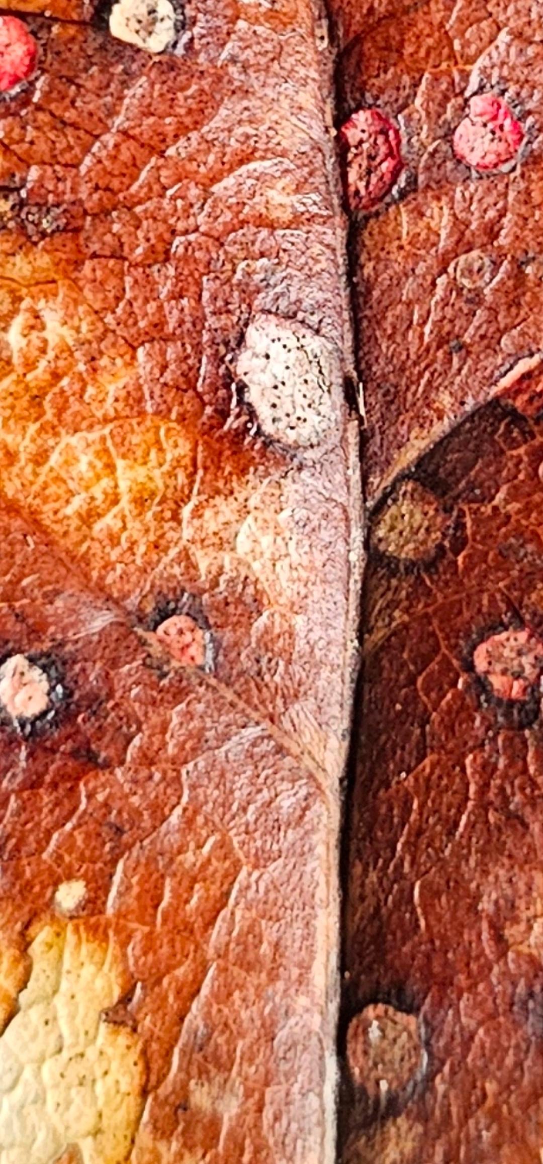 Macro nature abstract - image 2 - student project