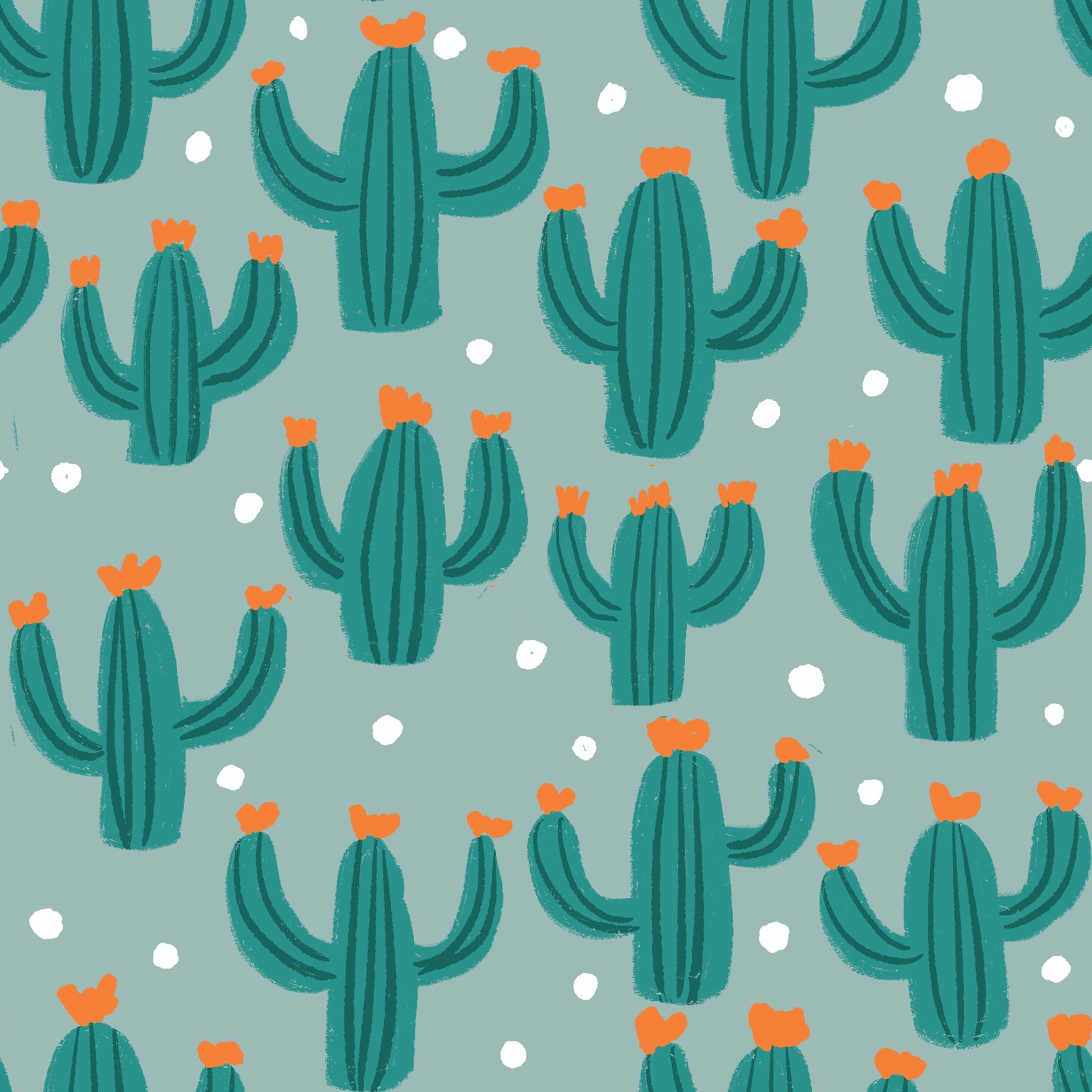 Cacti - image 2 - student project