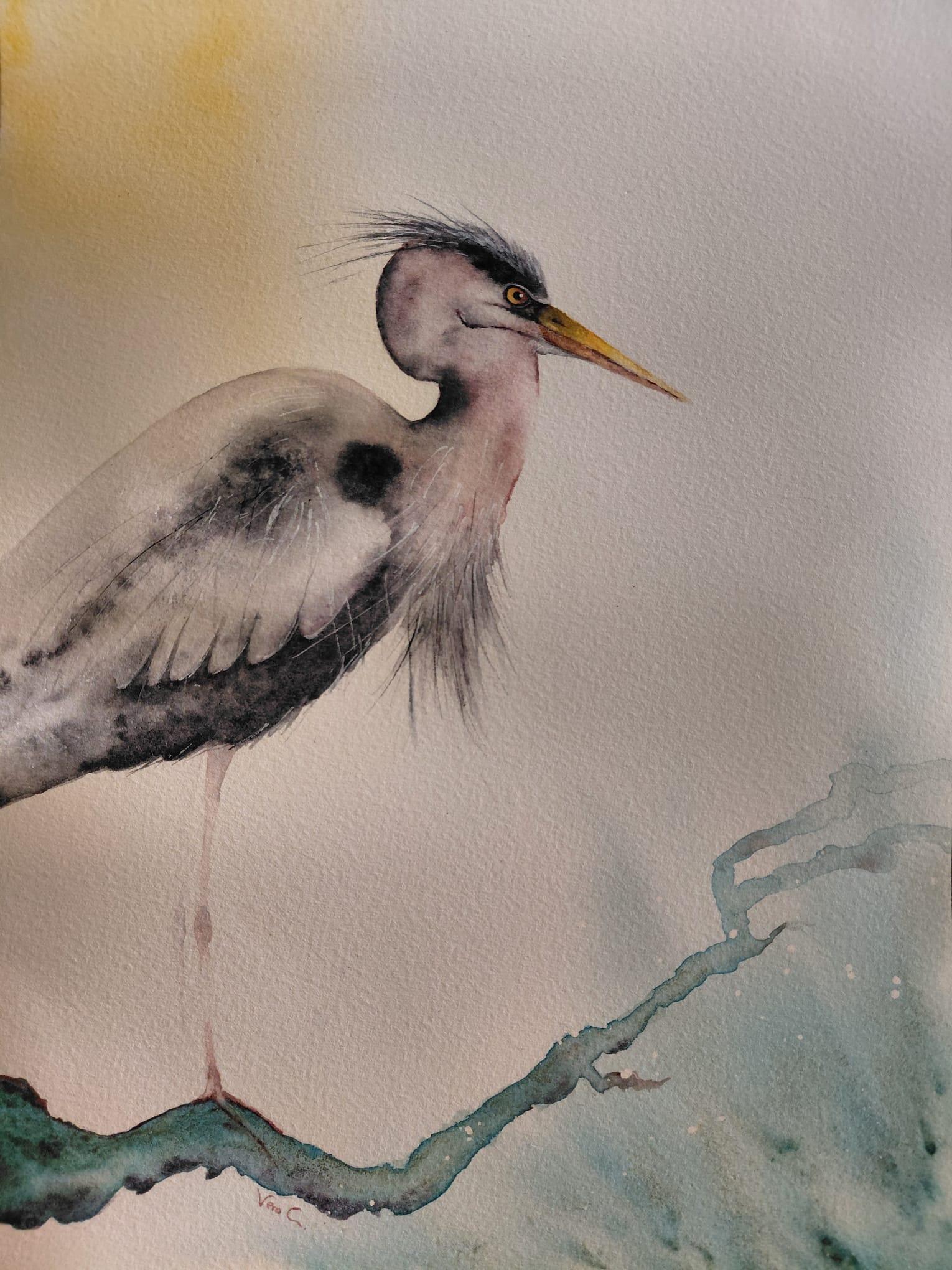 Heron - image 1 - student project