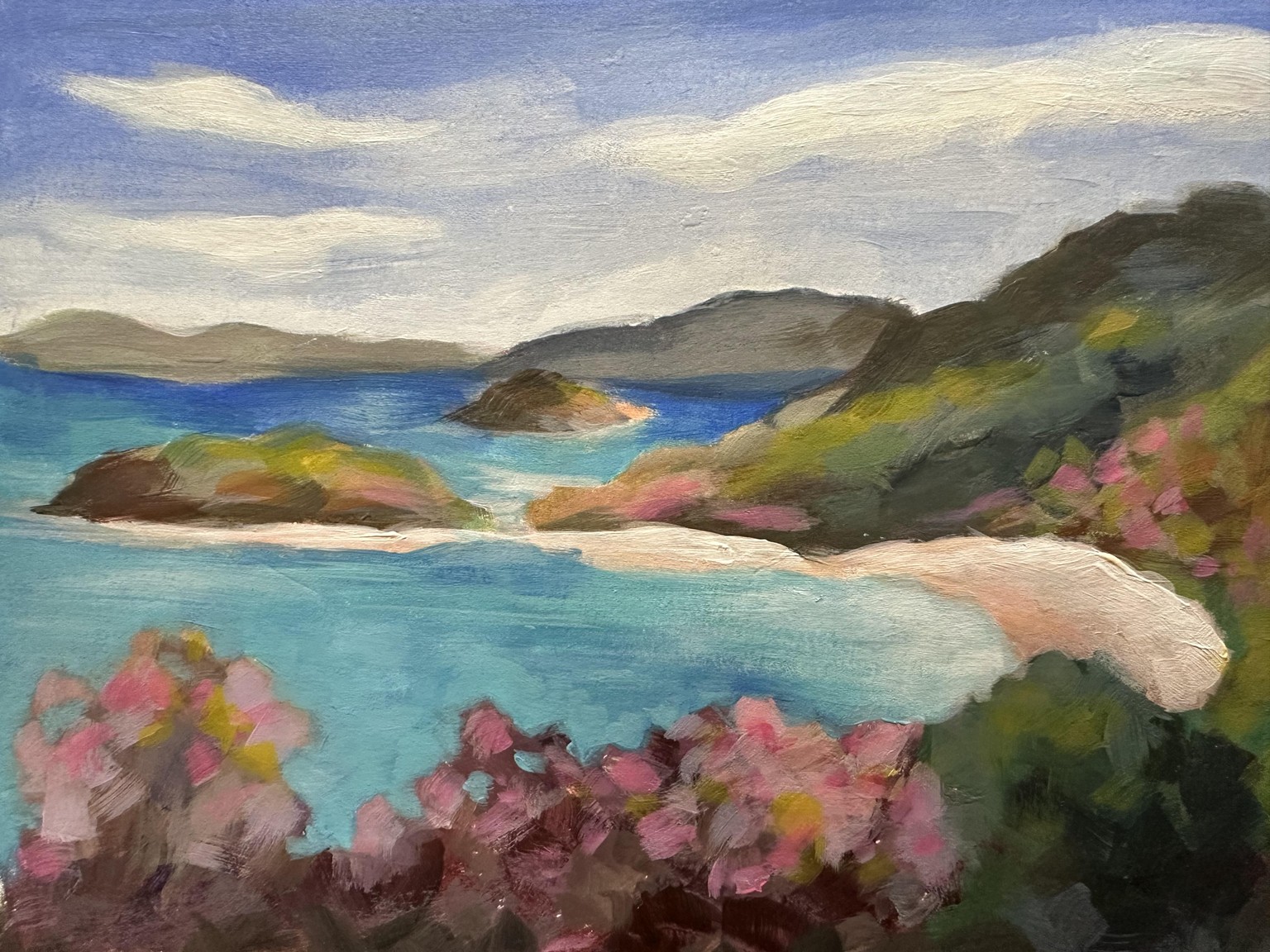 St. John Beach Scene in Acrylic - image 1 - student project