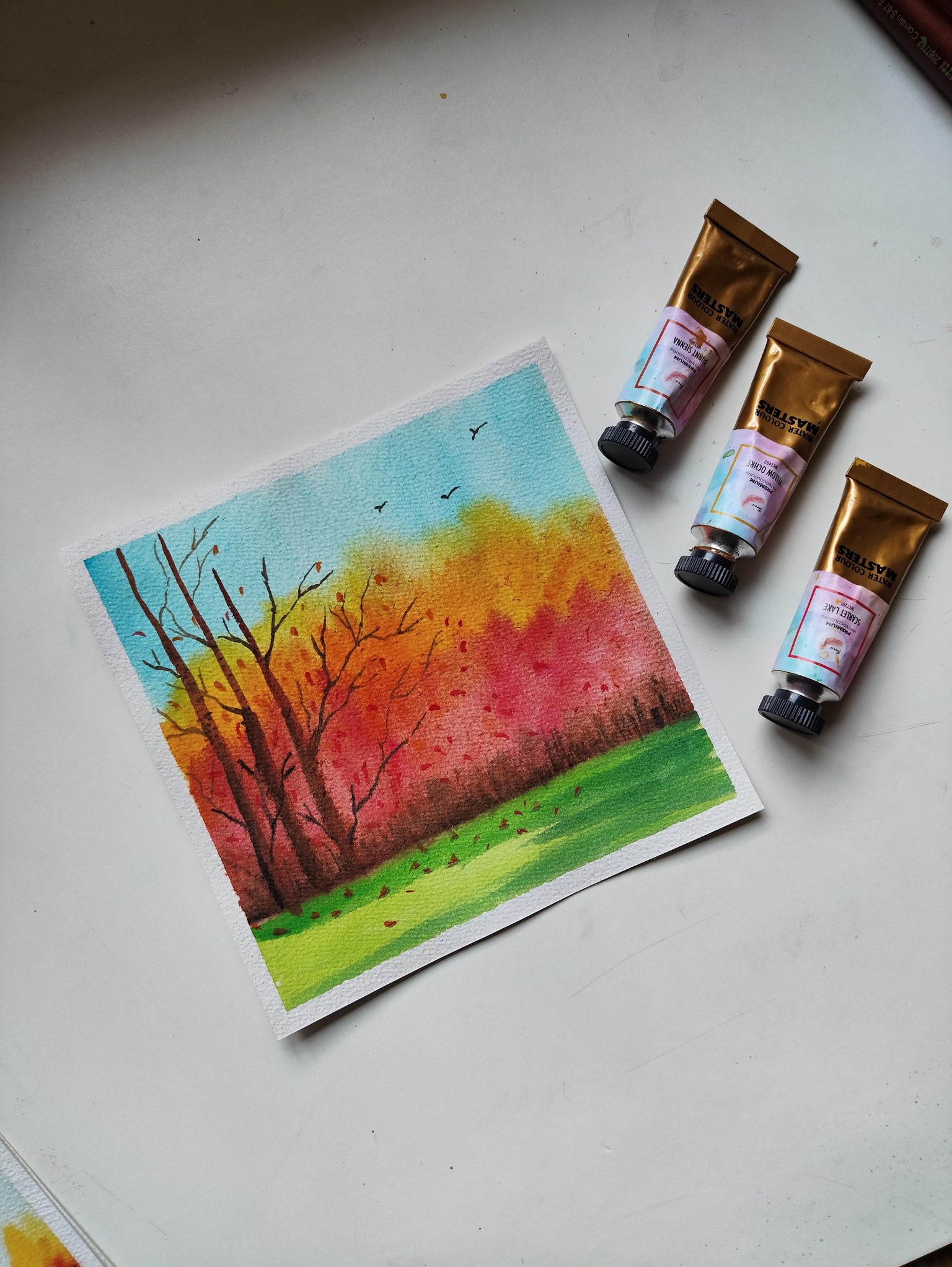 Autumn fall - image 1 - student project