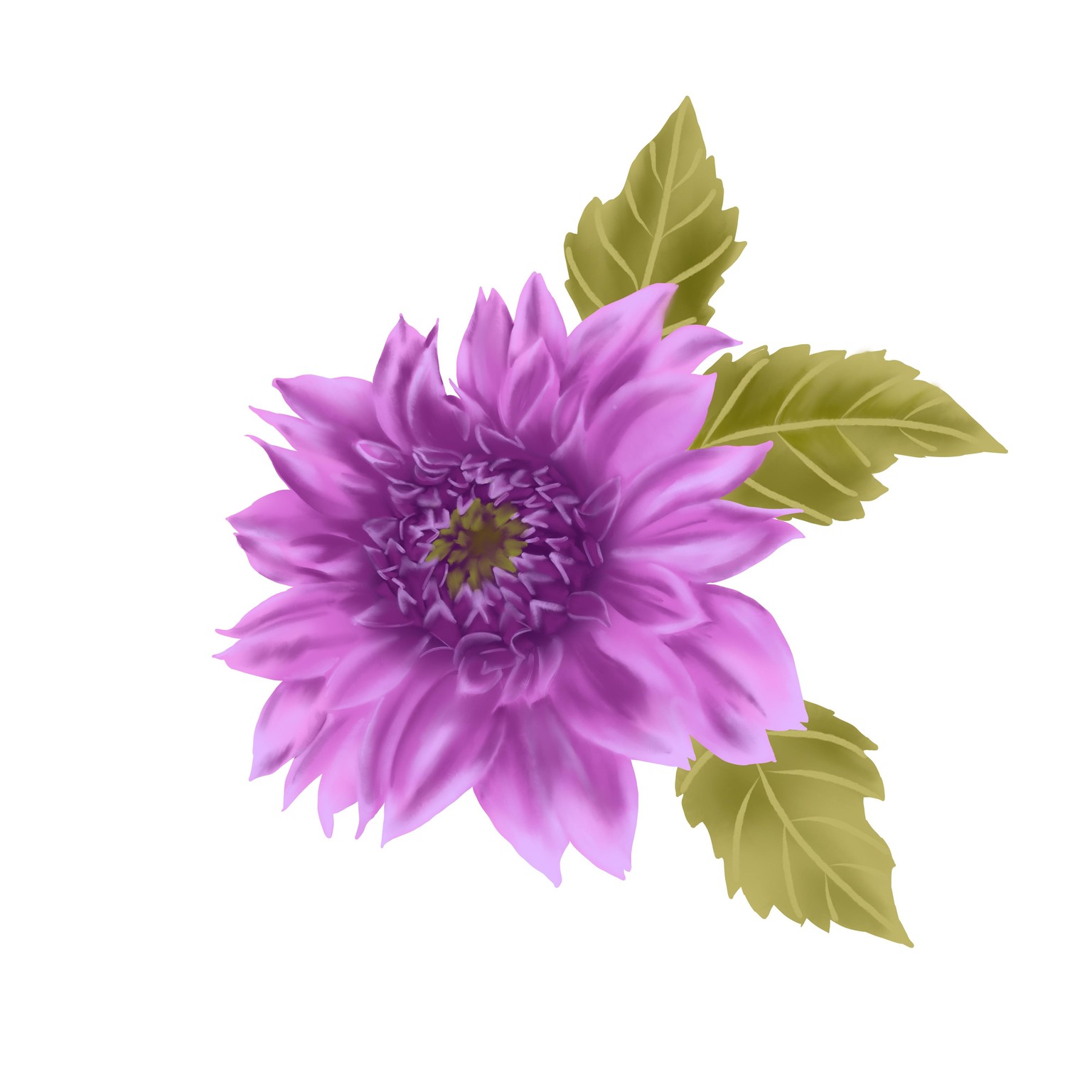 10 Day Challenge… so far - image 5 - student project