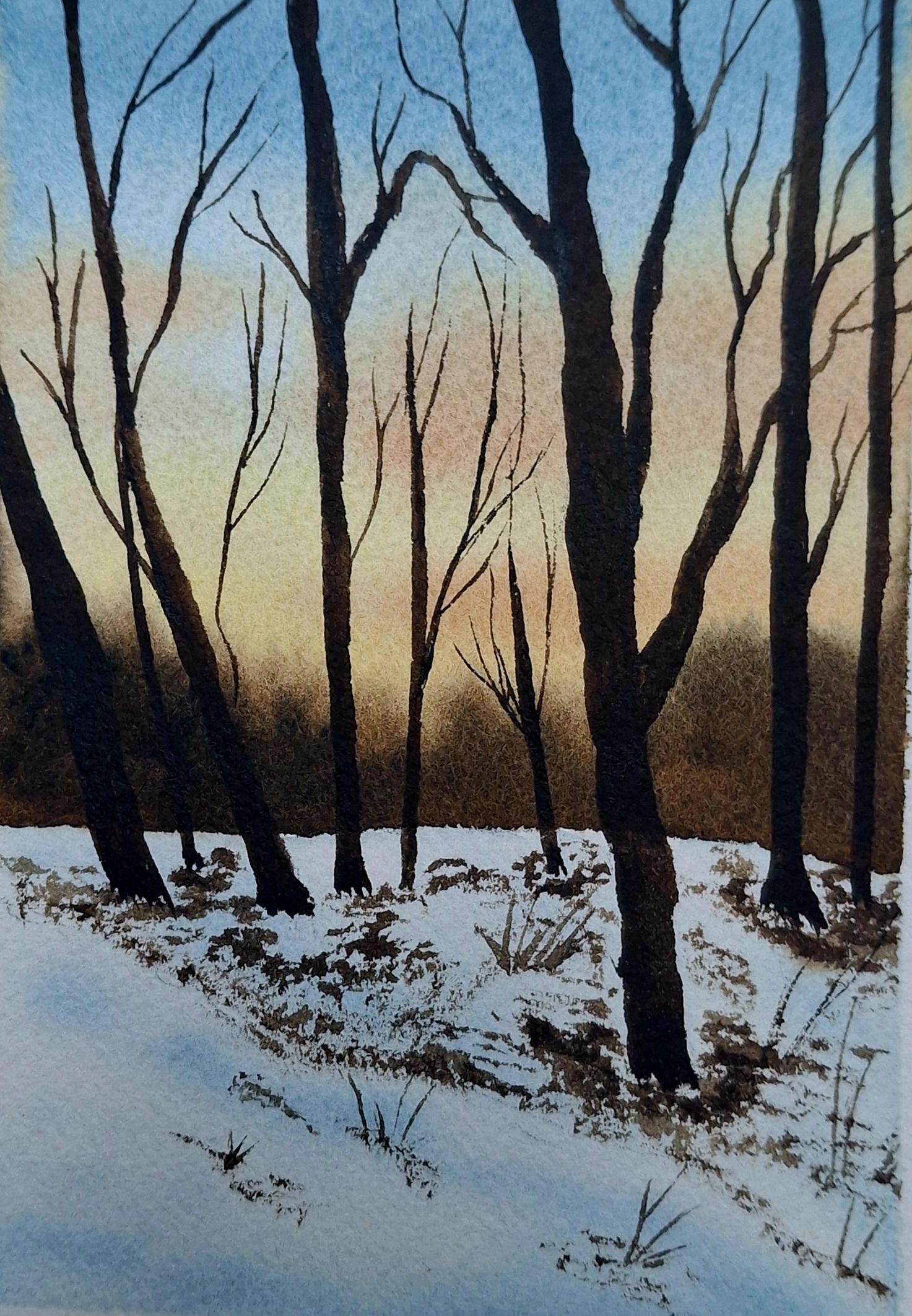 30 Winter Landscapes - image 23 - student project