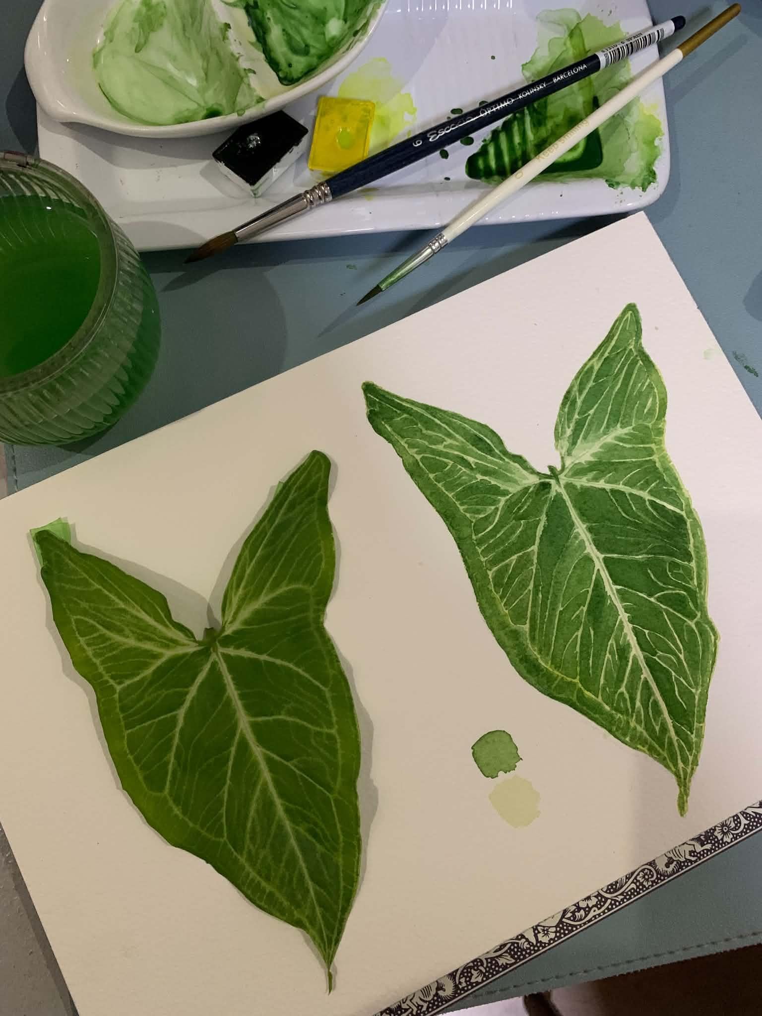 Syngonium - image 1 - student project