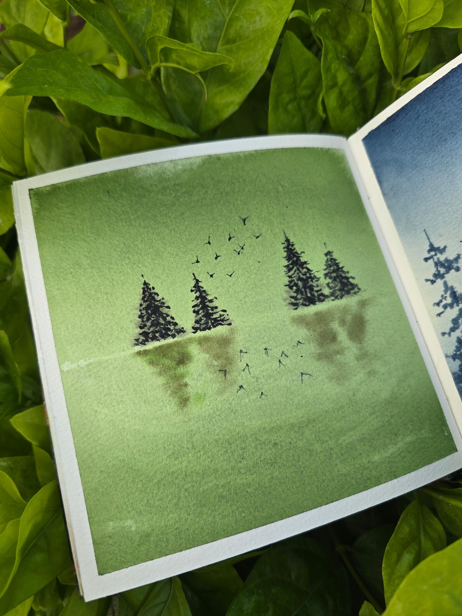 Minimalistic WC Landscapes✨️ - image 8 - student project