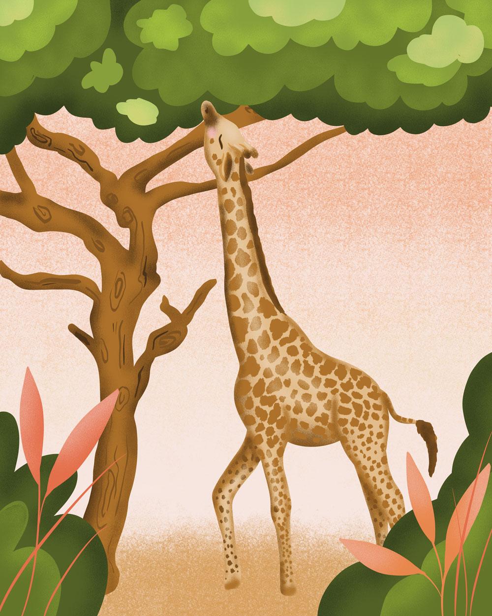 Giraffe - image 1 - student project