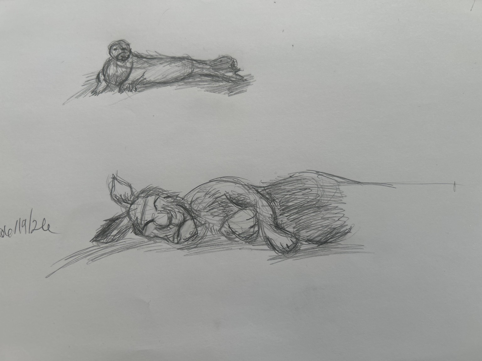 Drawings - image 1 - student project