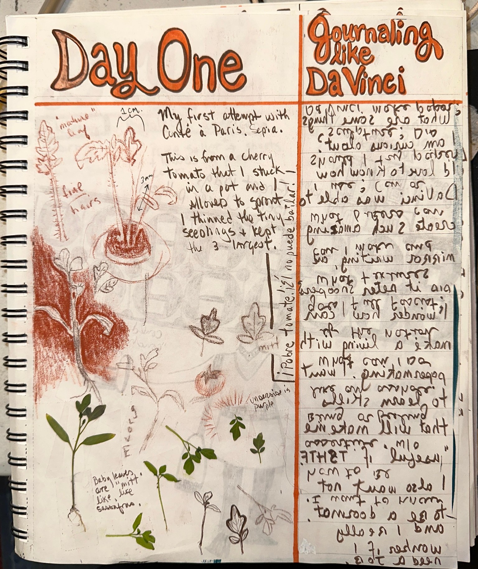 Seven Days of Da Vinci - image 1 - student project
