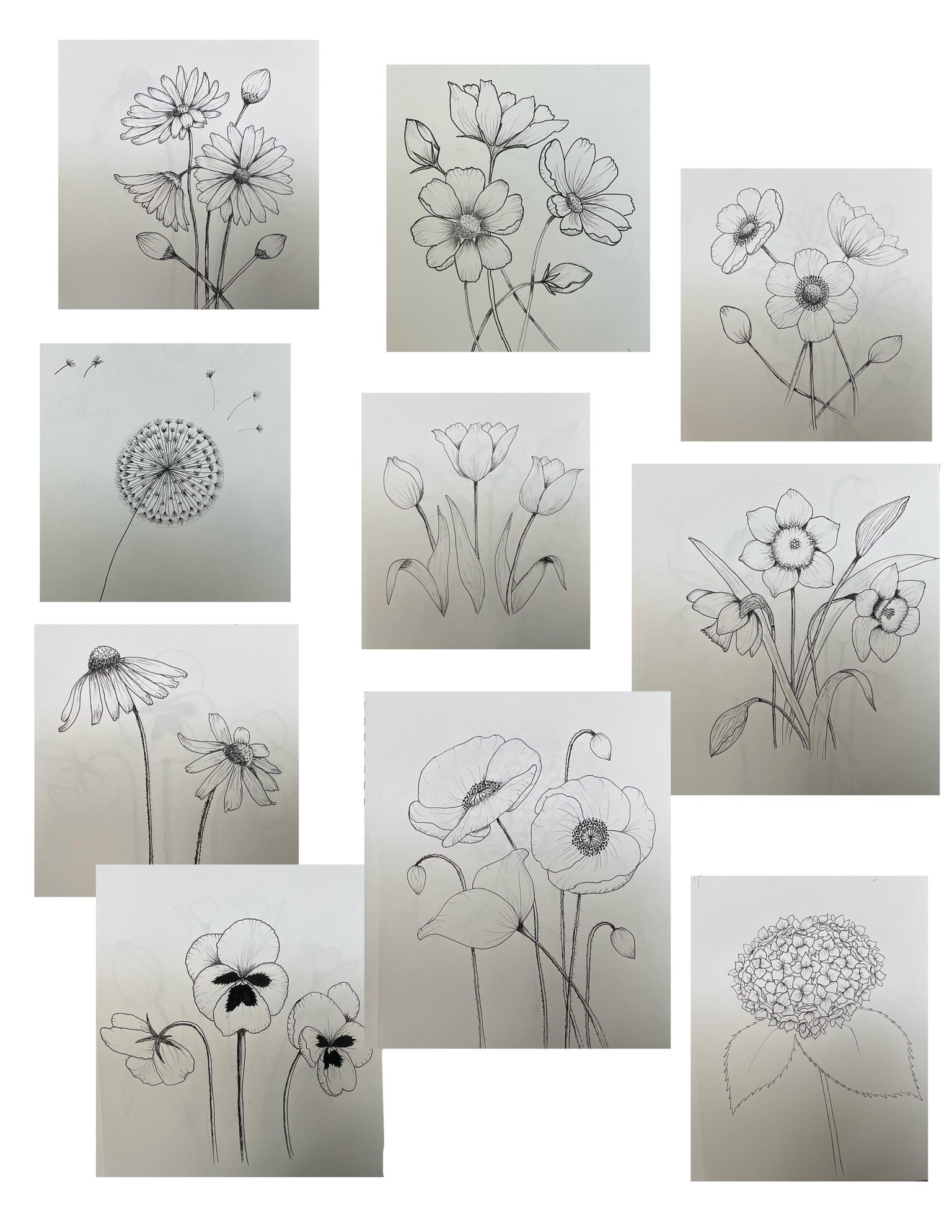 Flowers - image 1 - student project