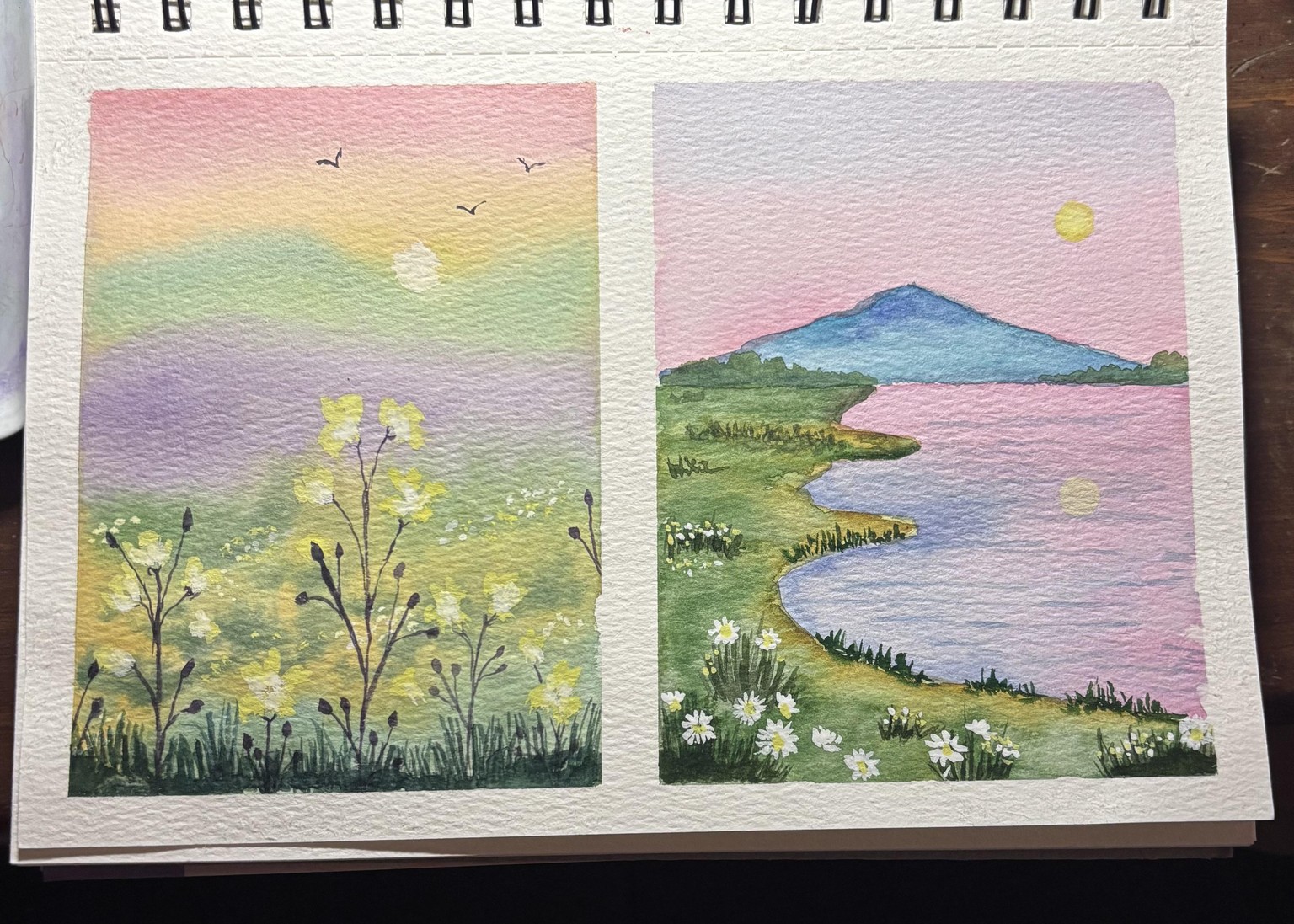 25 Days of Landscapes - image 9 - student project