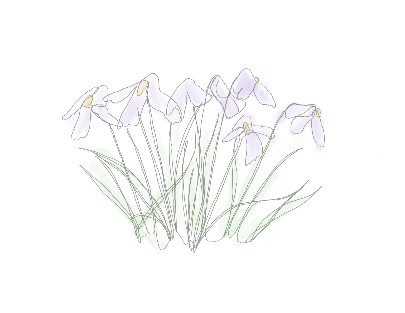 One line drawing, plants and butterfly - image 2 - student project