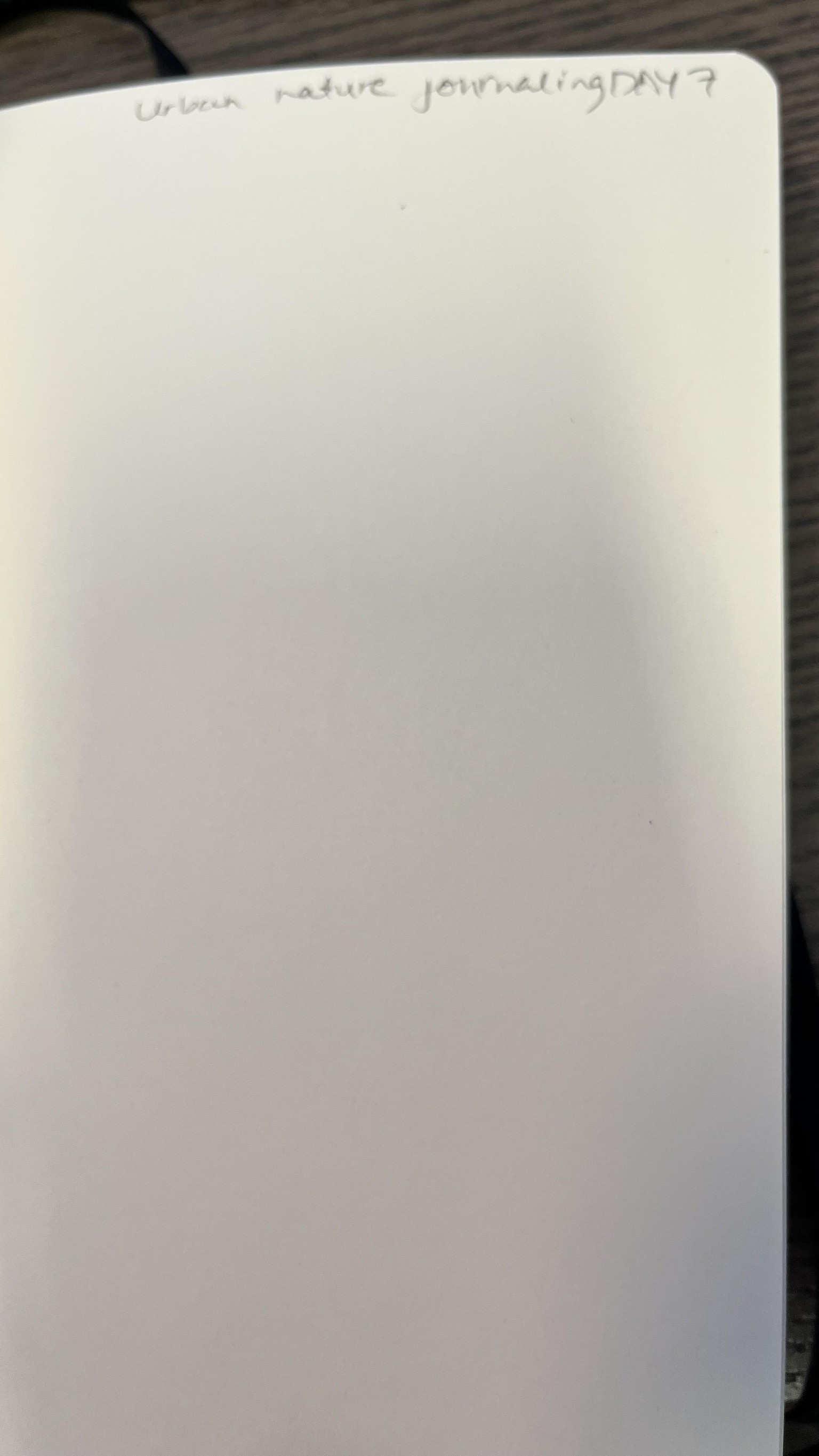 My prepped sketchbook to keep me playful - image 7 - student project