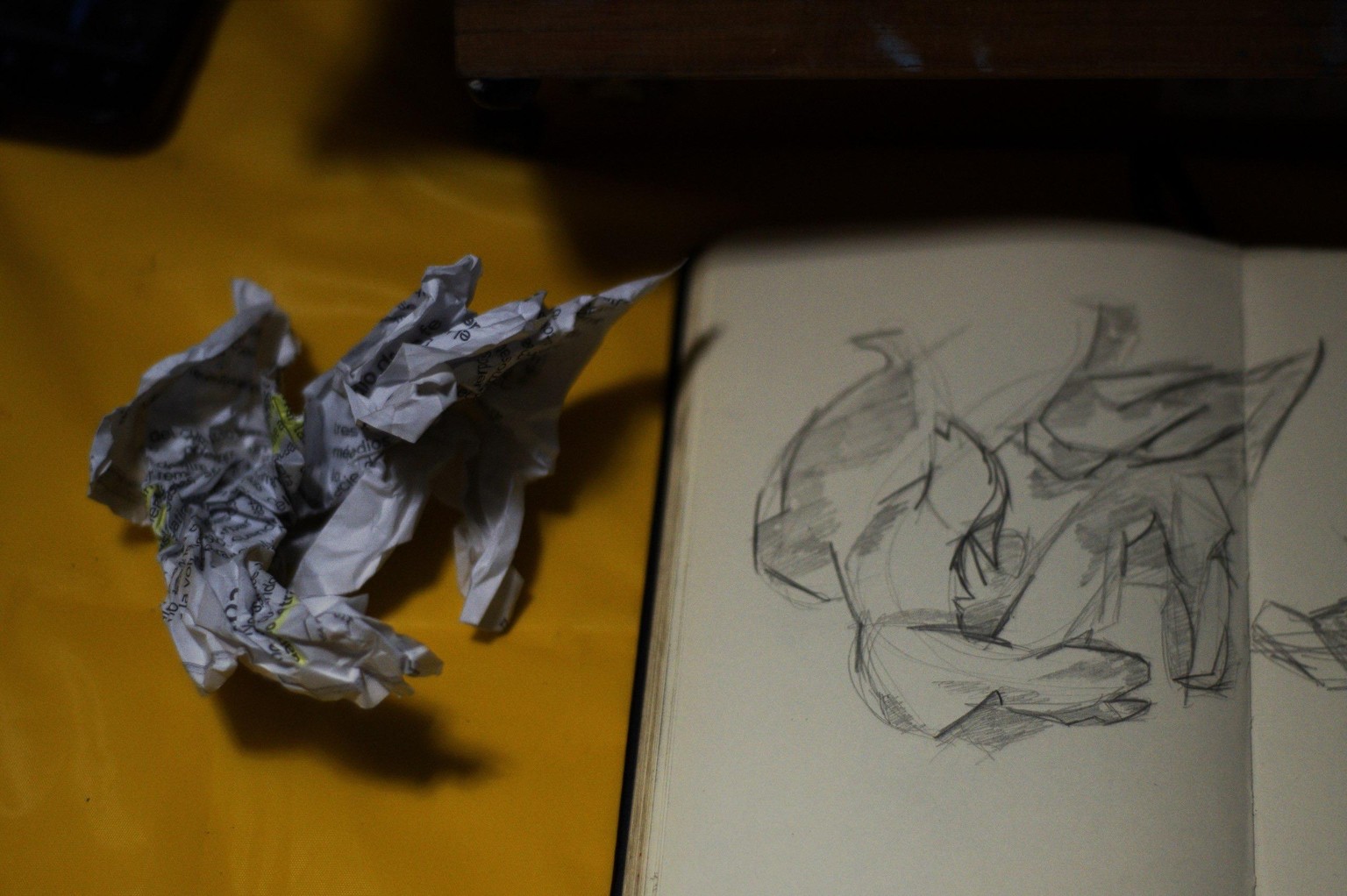 Pareidolia - image 2 - student project