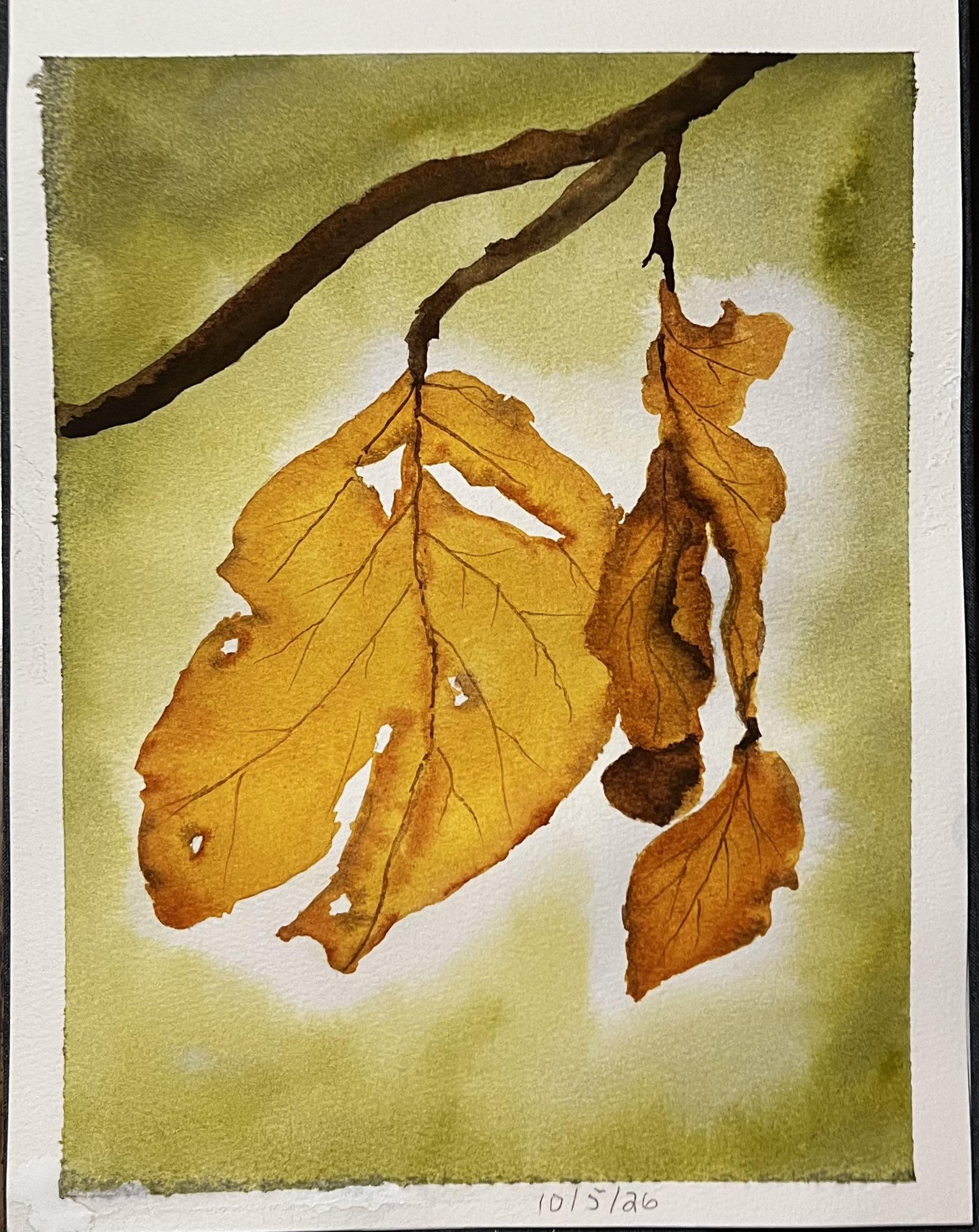 Autumn Paintings - image 4 - student project