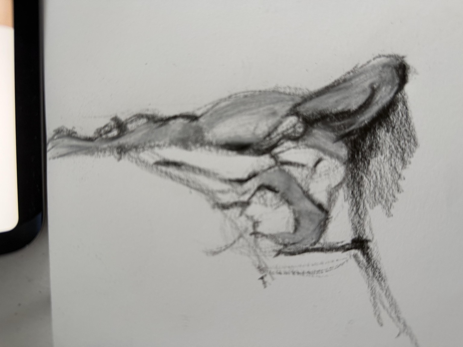 Learning to draw figure drawing - image 1 - student project