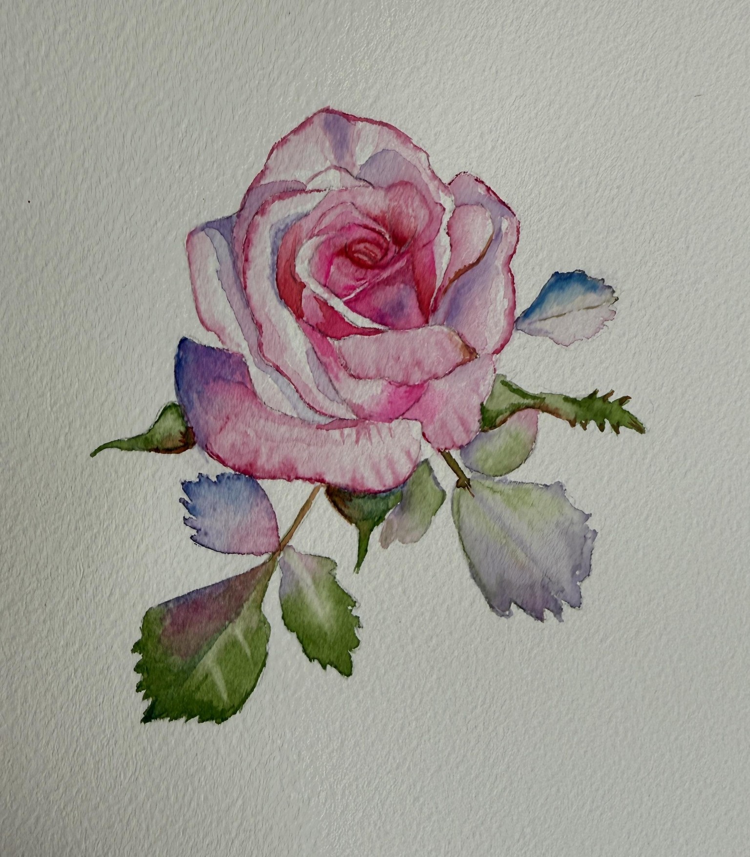 Pink Rose - image 1 - student project